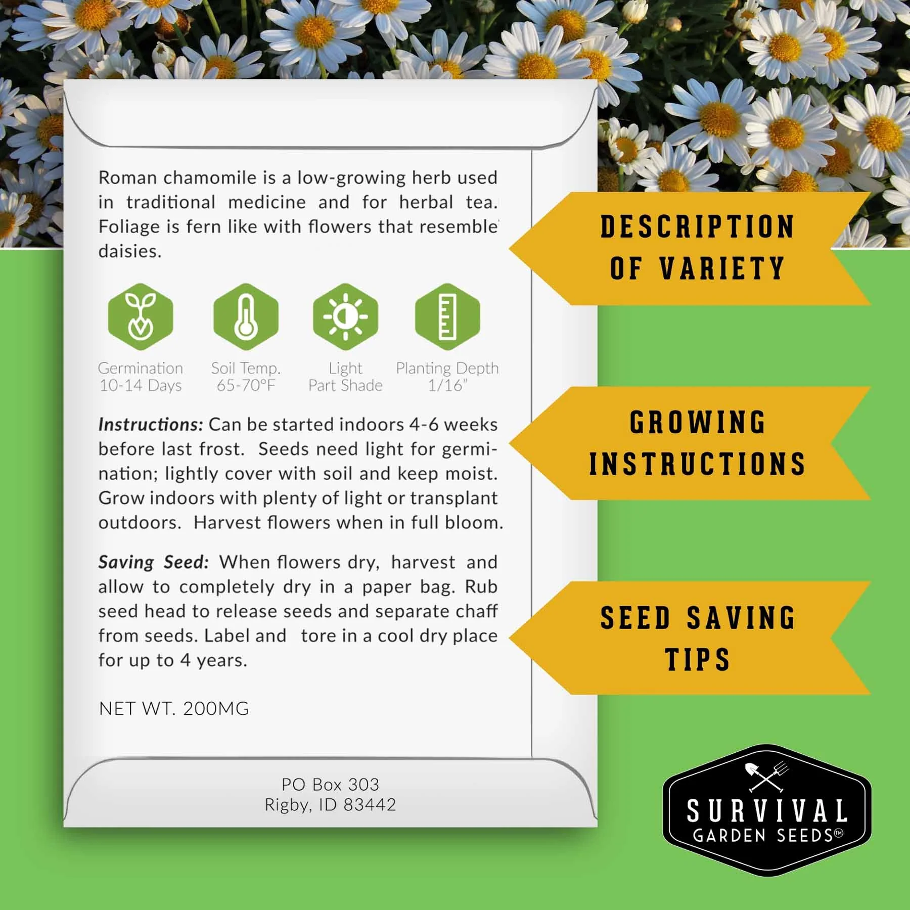 10-Variety Heirloom Flower Seed Collection – Non-GMO Annuals & Perennials for Colorful, Pollinator-Friendly Gardens - Image 3