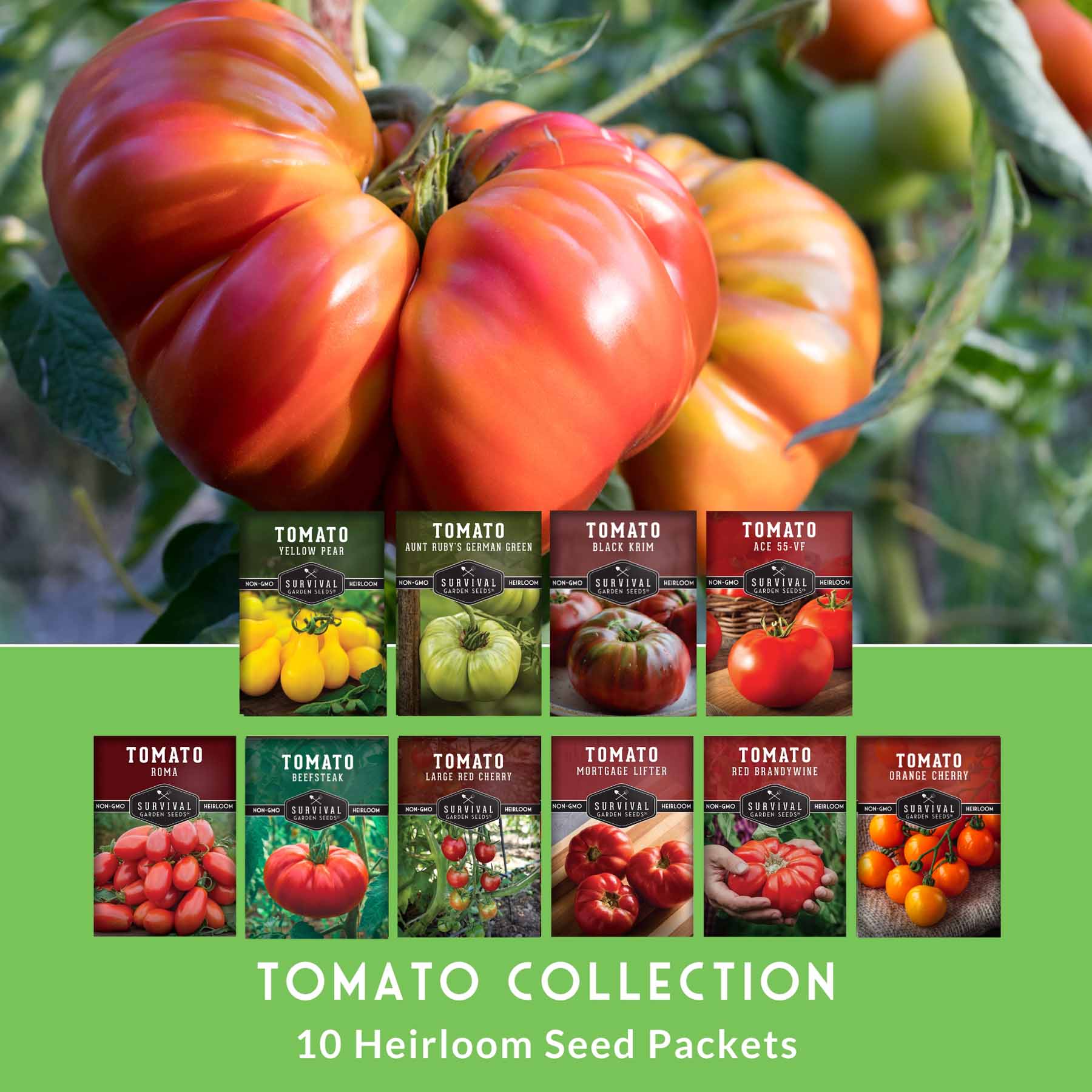 10 Tomato Seed Collection – Heirloom & Garden Favorites for Slicing, Sauces, Canning & Fresh Eating - Image 3