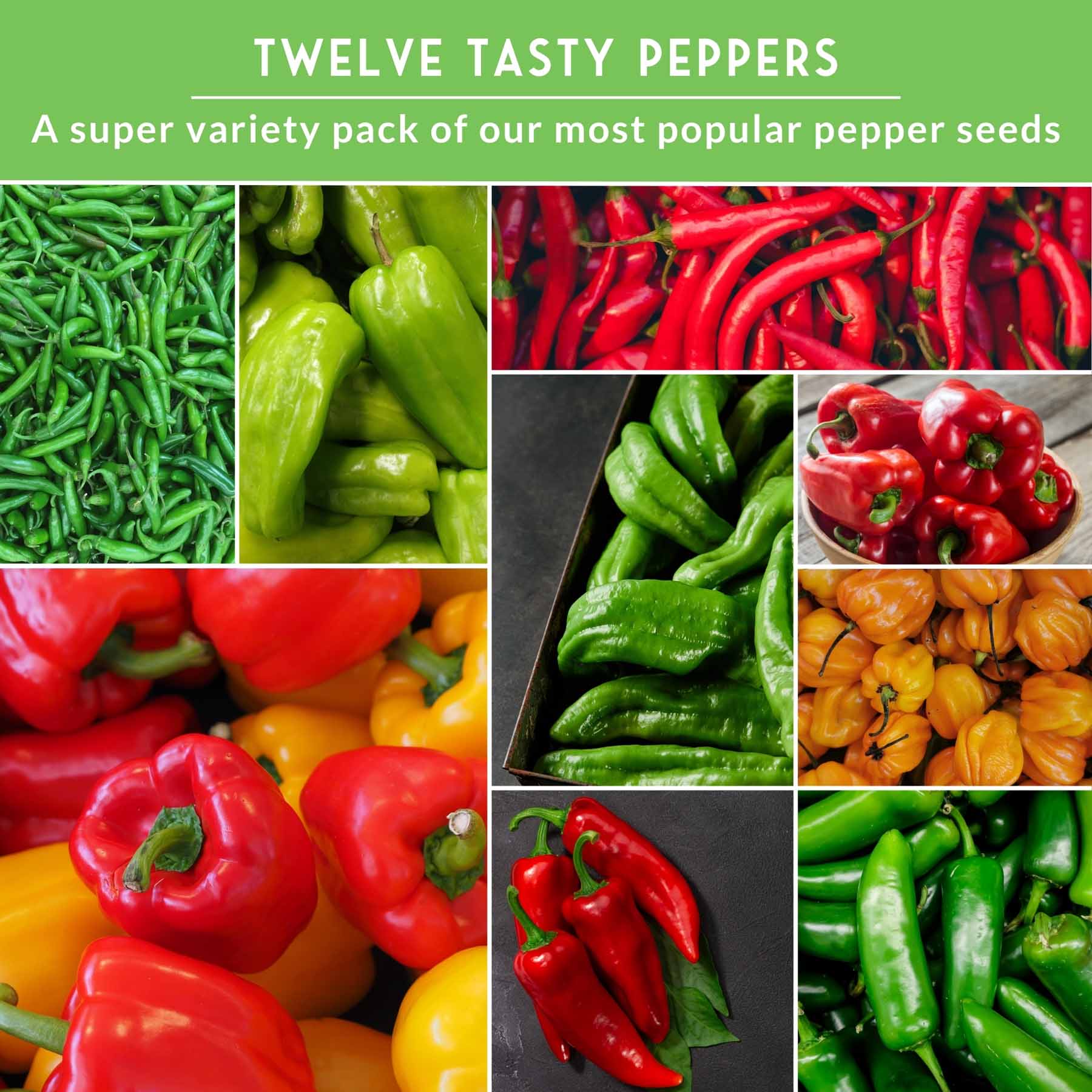 12-Variety Heirloom Pepper Seed Collection – Non-GMO Hot & Sweet Peppers for Home and Container Gardens - Image 5