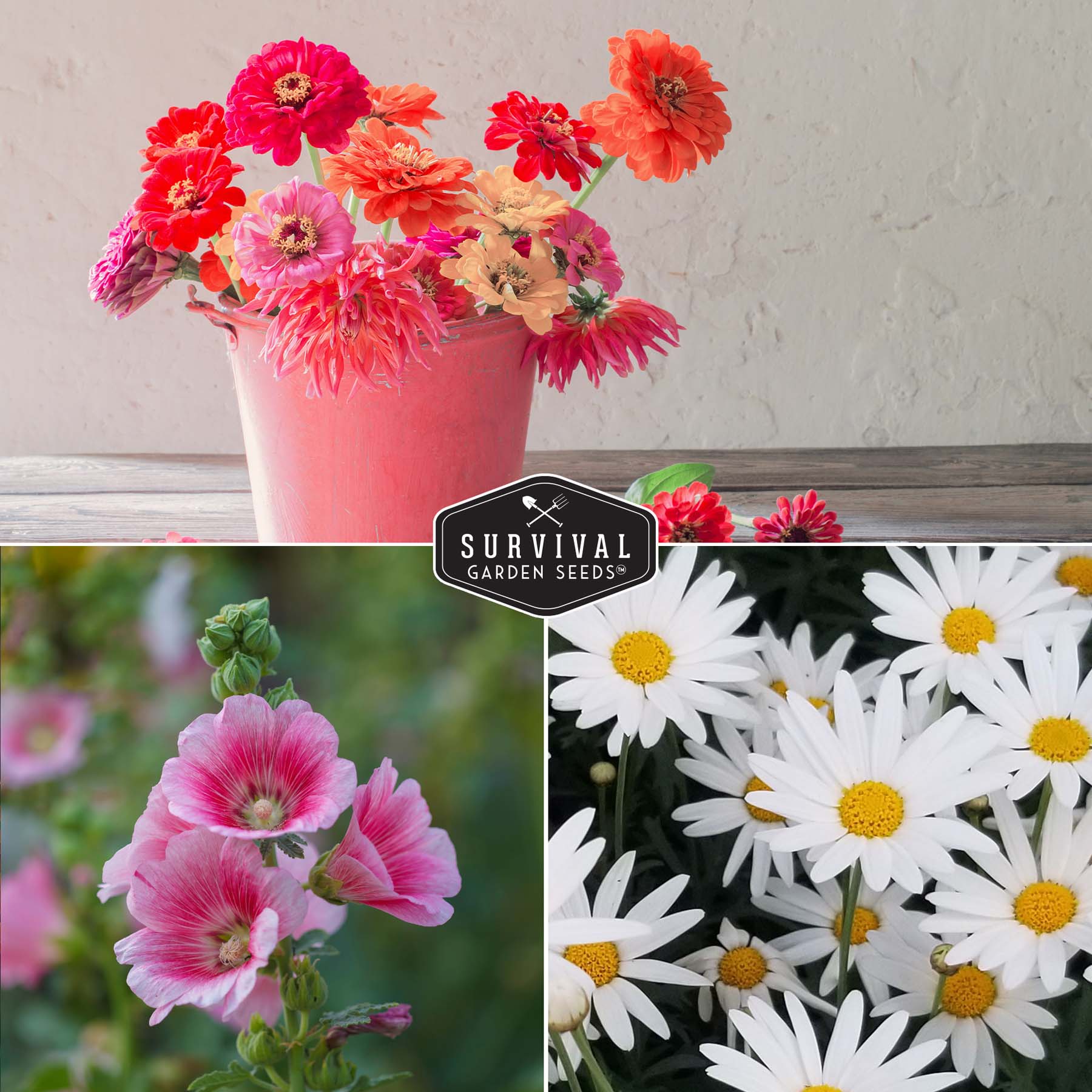 5-Variety Heirloom Flower Seed Collection – Non-GMO Annual & Perennial Blooms for Pollinator Gardens and Cut Arrangements - Image 5