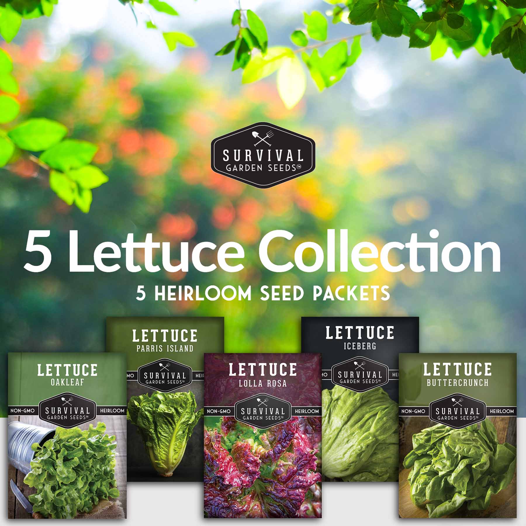 Lettuce Seed Collection – 5 Heirloom Varieties for Year-Round Harvest | Buttercrunch, Oakleaf, Lolla Rosa, Iceberg & Parris Island - Image 2