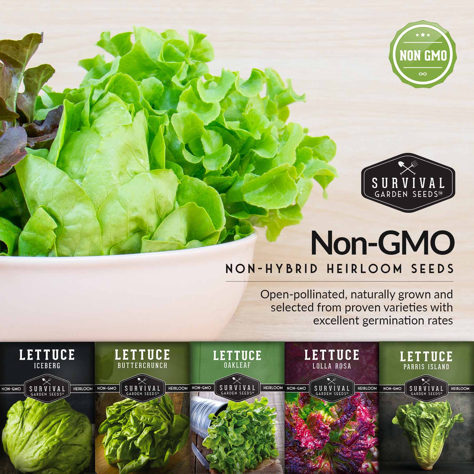 Lettuce Seed Collection – 5 Heirloom Varieties for Year-Round Harvest | Buttercrunch, Oakleaf, Lolla Rosa, Iceberg & Parris Island - Image 5