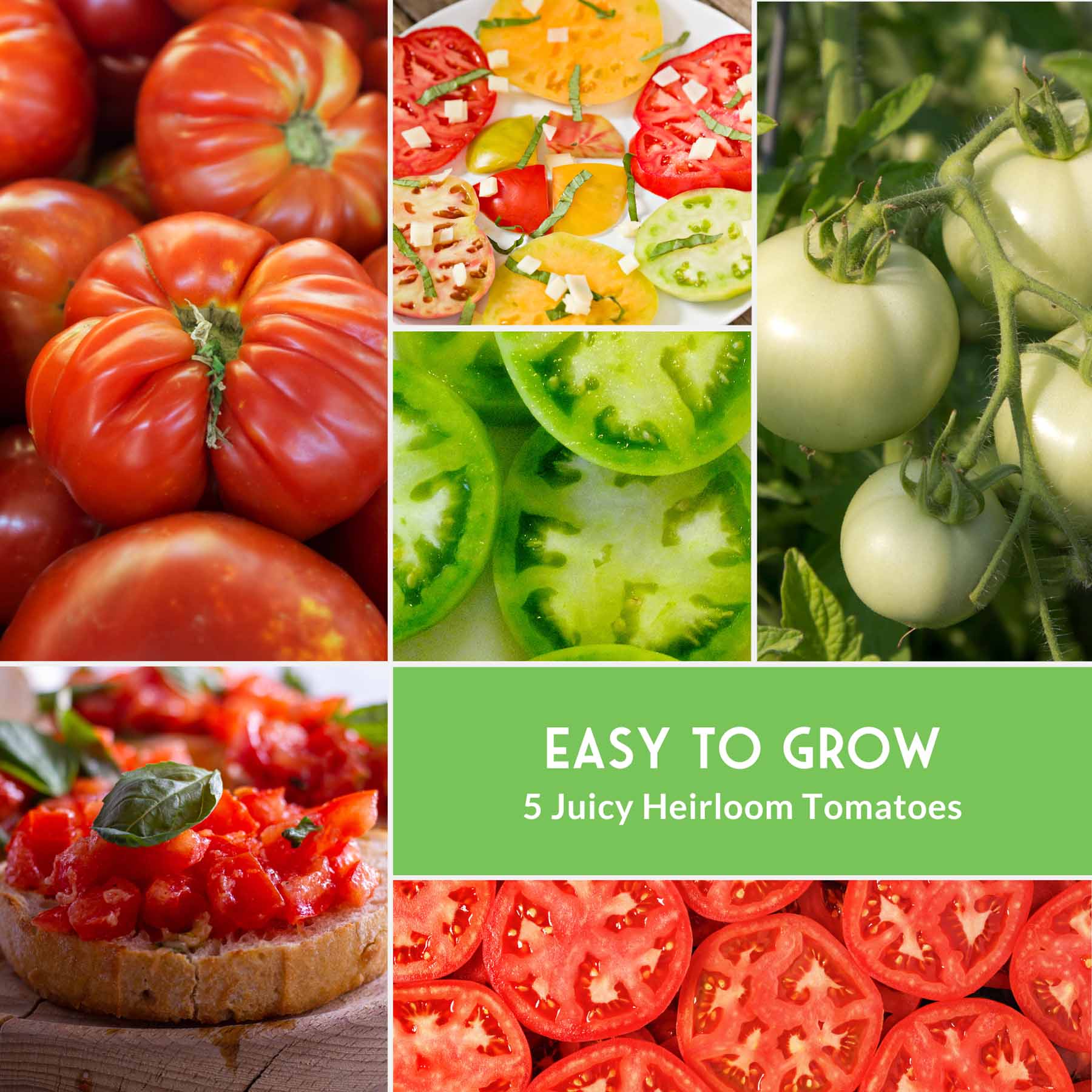 Slicing Tomato Seed Collection – 5 Heirloom & Beefsteak Varieties for Large, Meaty Sandwich Tomatoes - Image 5