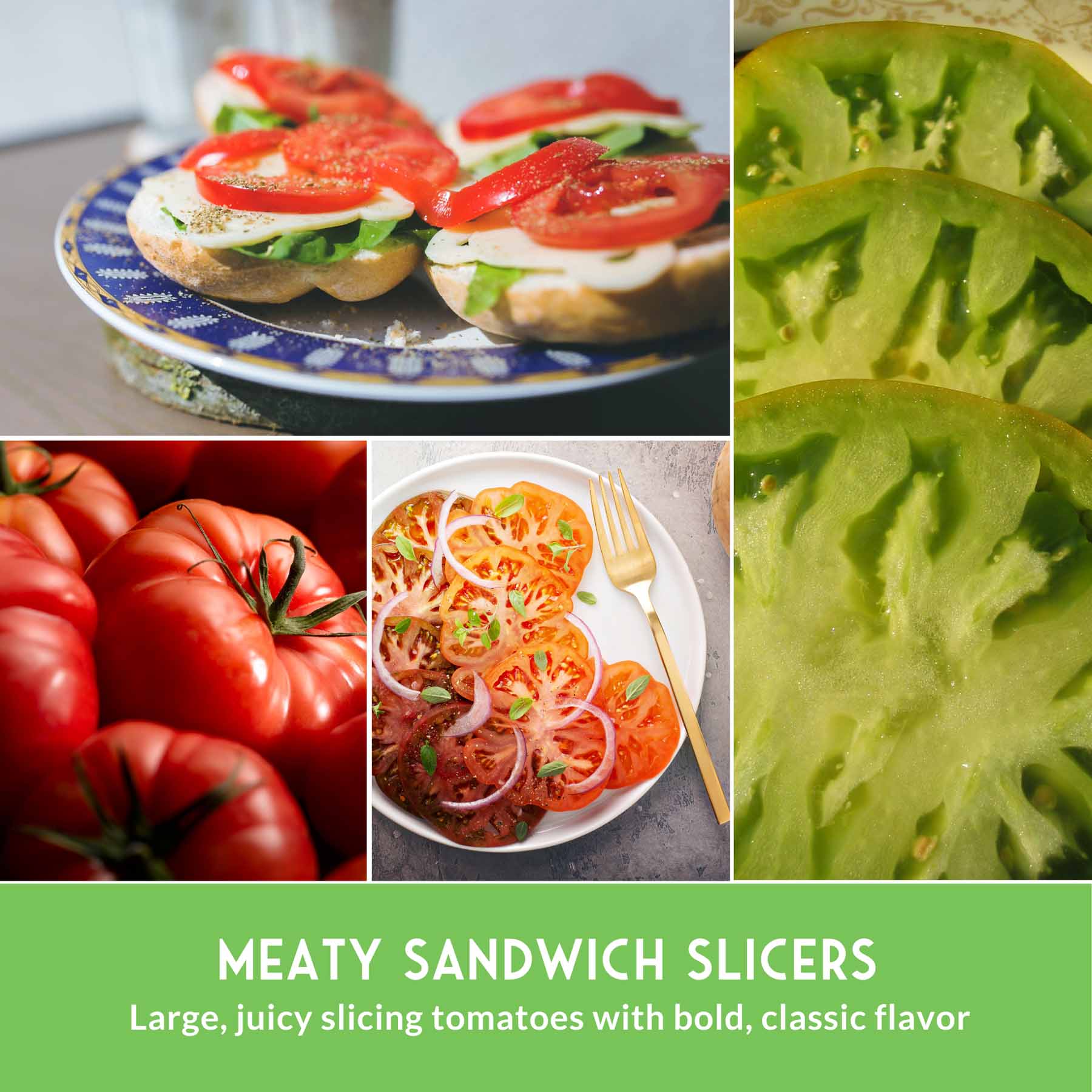 Slicing Tomato Seed Collection – 5 Heirloom & Beefsteak Varieties for Large, Meaty Sandwich Tomatoes - Image 6