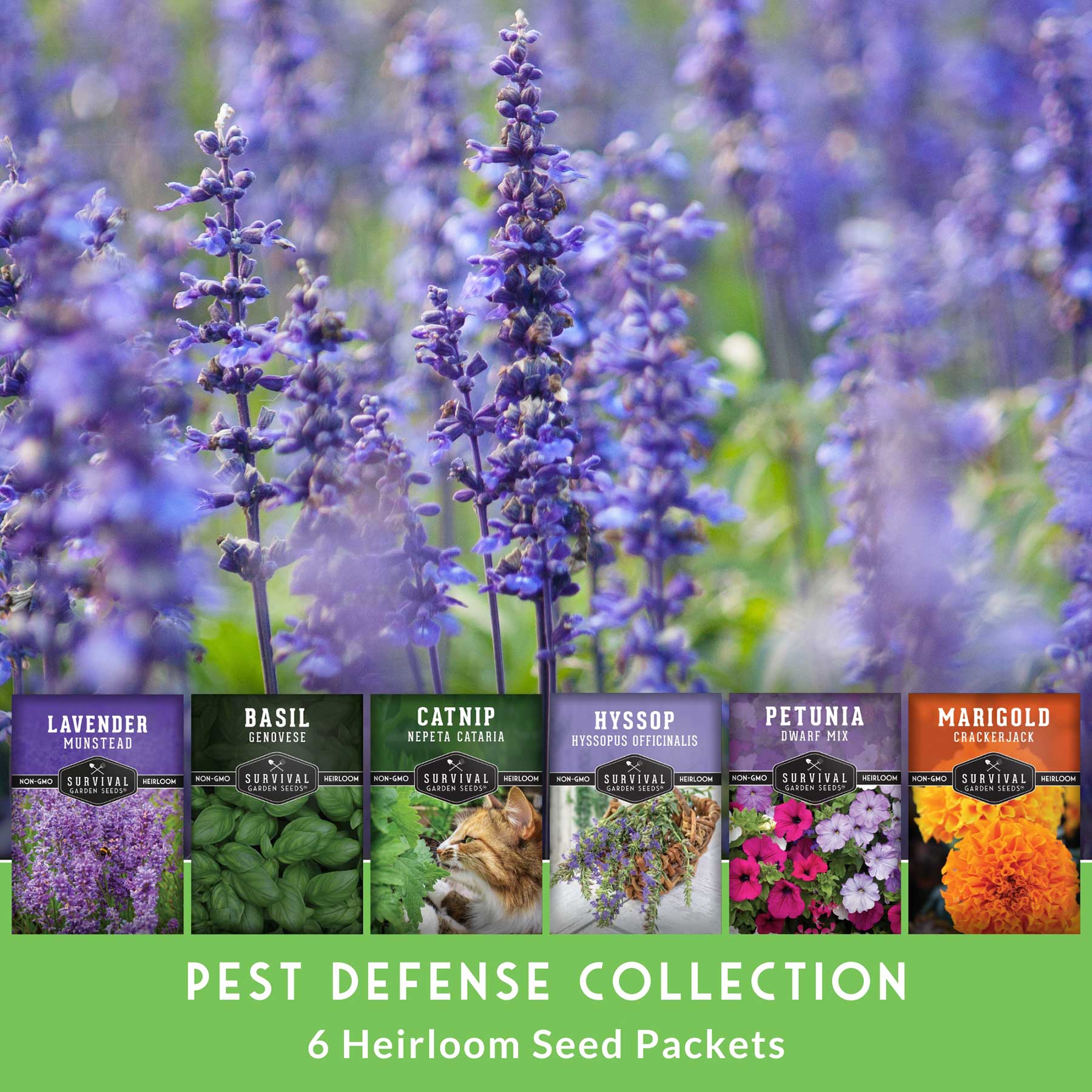 Pest Defense Seed Collection – 6 Heirloom Herbs & Flowers for Natural Garden Protection - Image 3