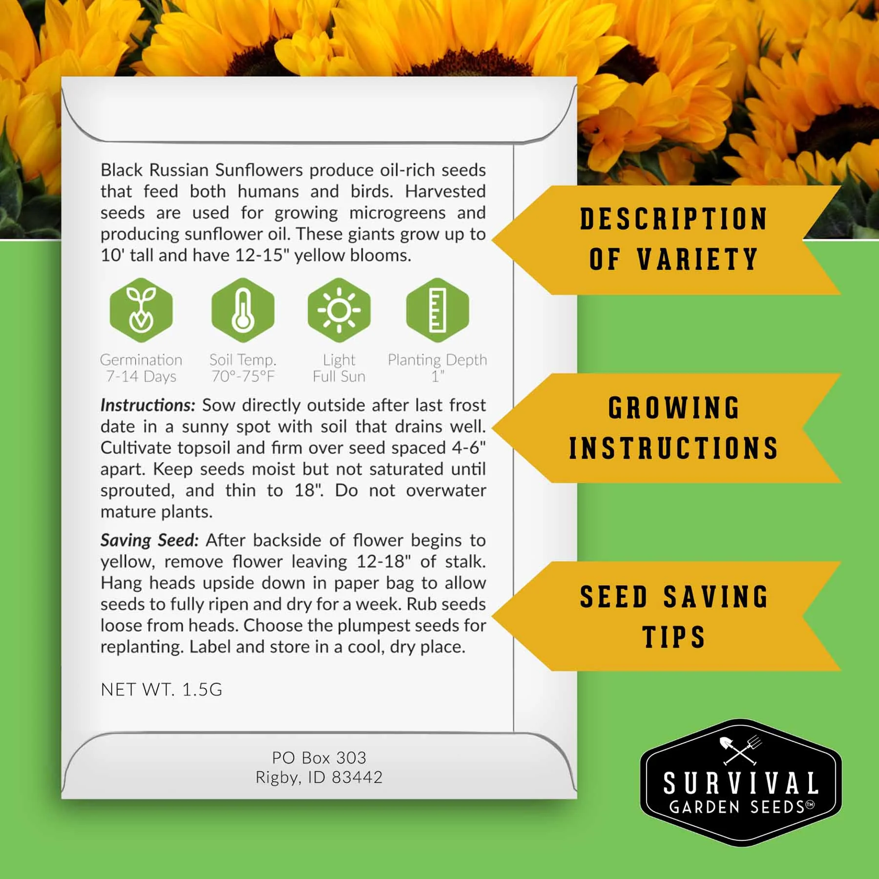 Sunflower Seed Collection – 6 Colorful, Pollinator-Friendly Varieties for Stunning Garden Displays - Image 3