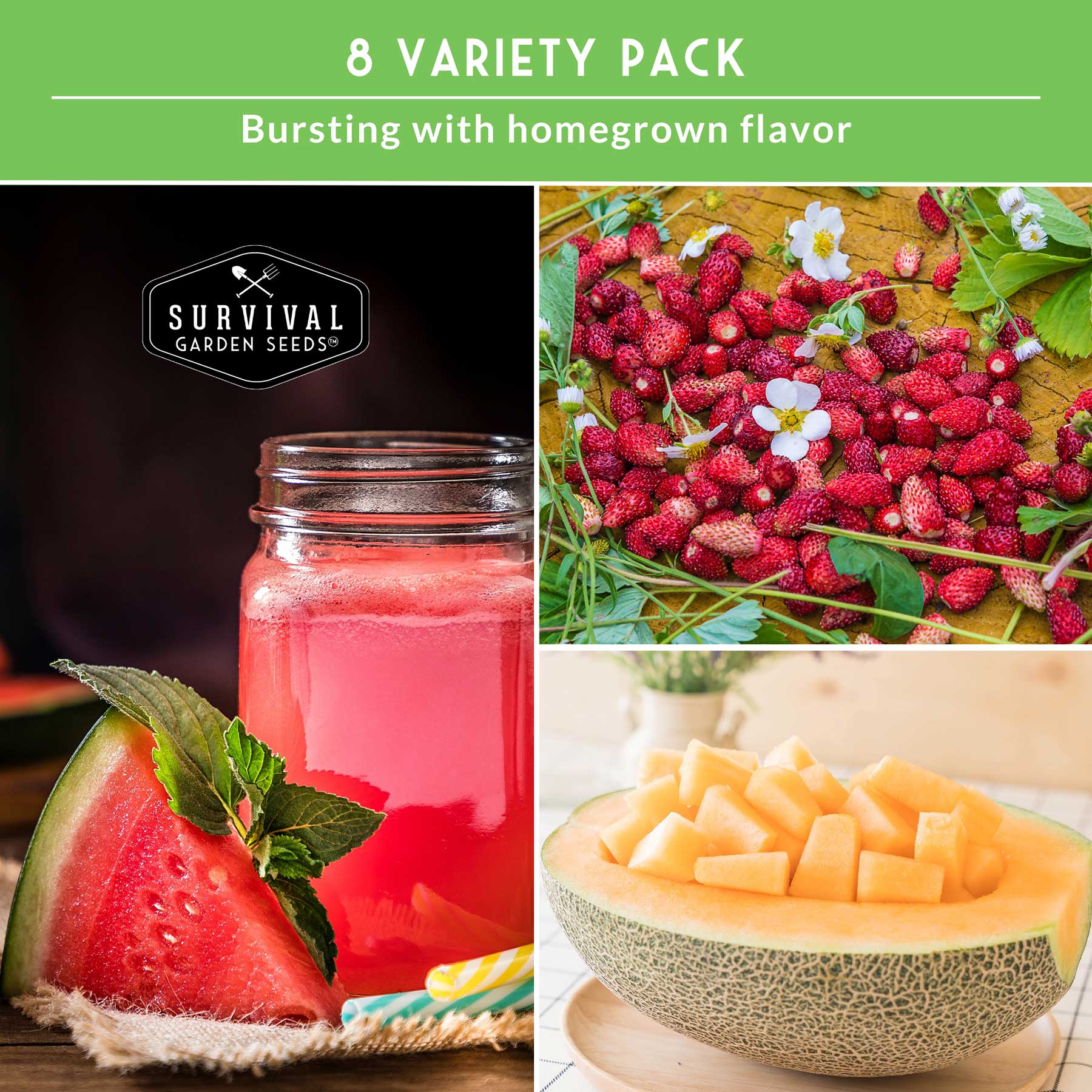 8-Variety Heirloom Fruit Seed Collection – Non-GMO Strawberry, Melon & Watermelon Seeds for Home Gardens - Image 4