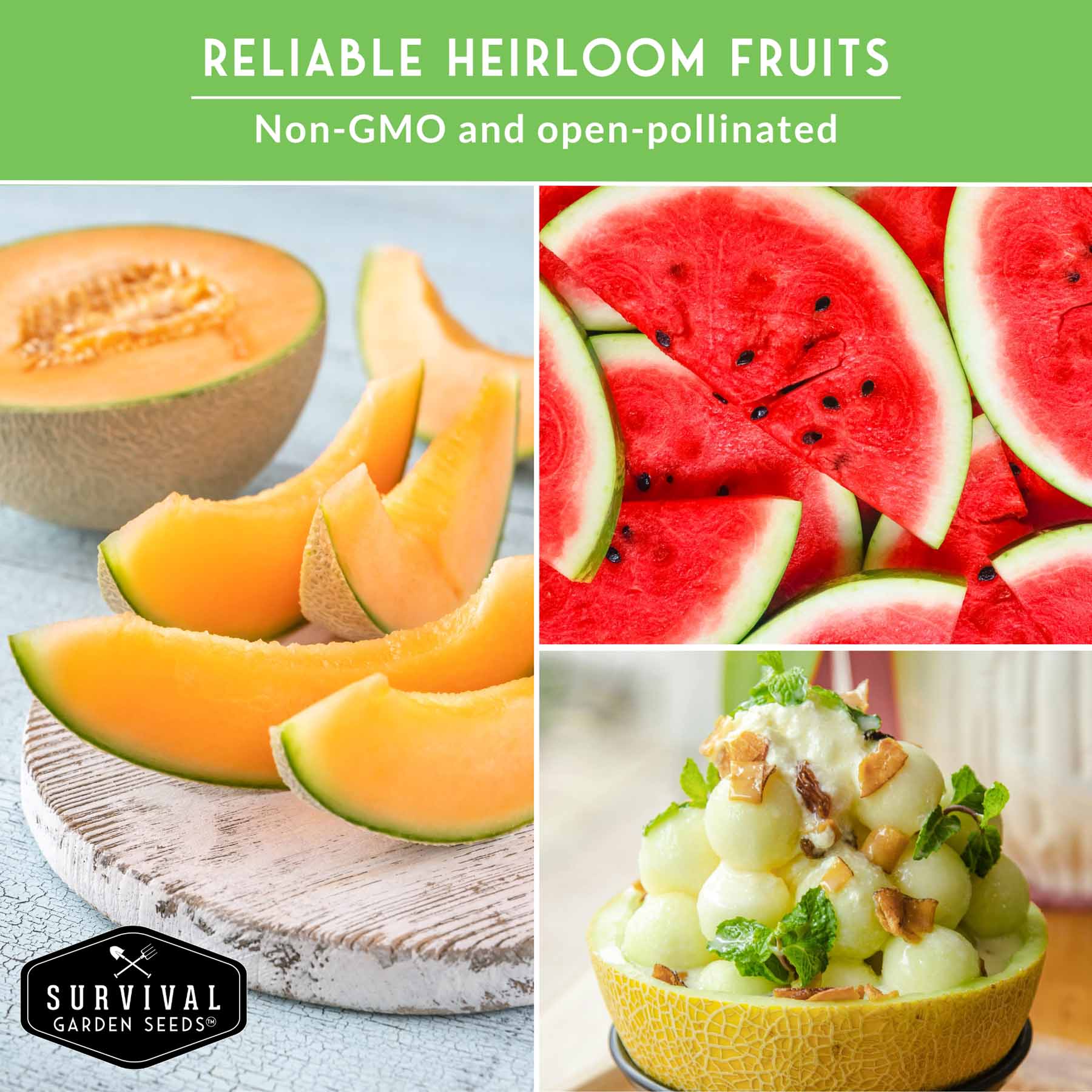 8-Variety Heirloom Fruit Seed Collection – Non-GMO Strawberry, Melon & Watermelon Seeds for Home Gardens - Image 6
