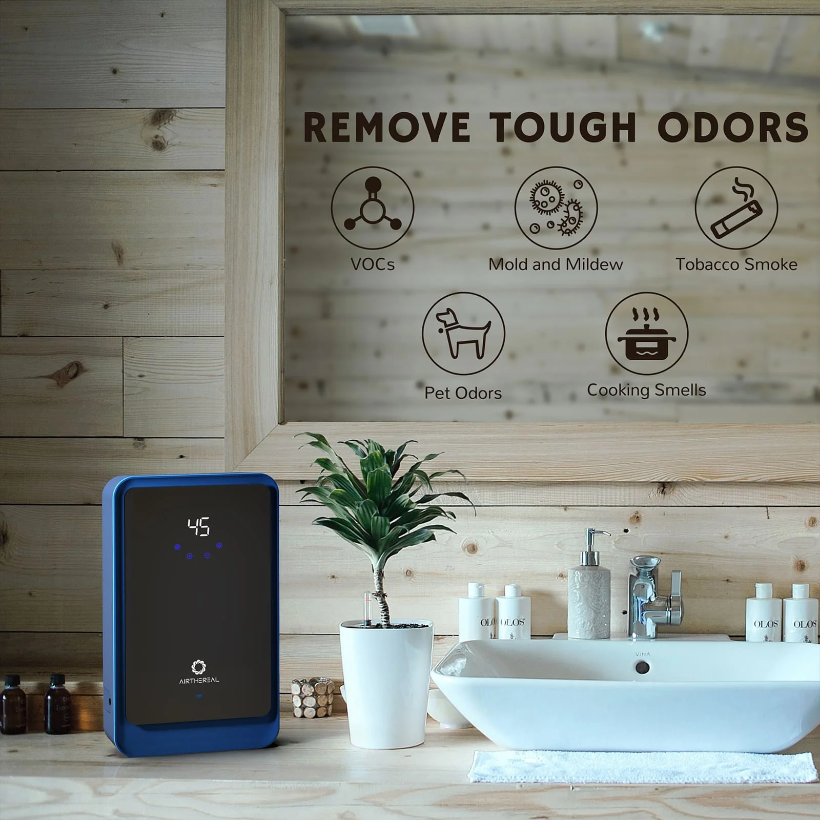 AH1000 Water Ozone Generator - European version - Image 4