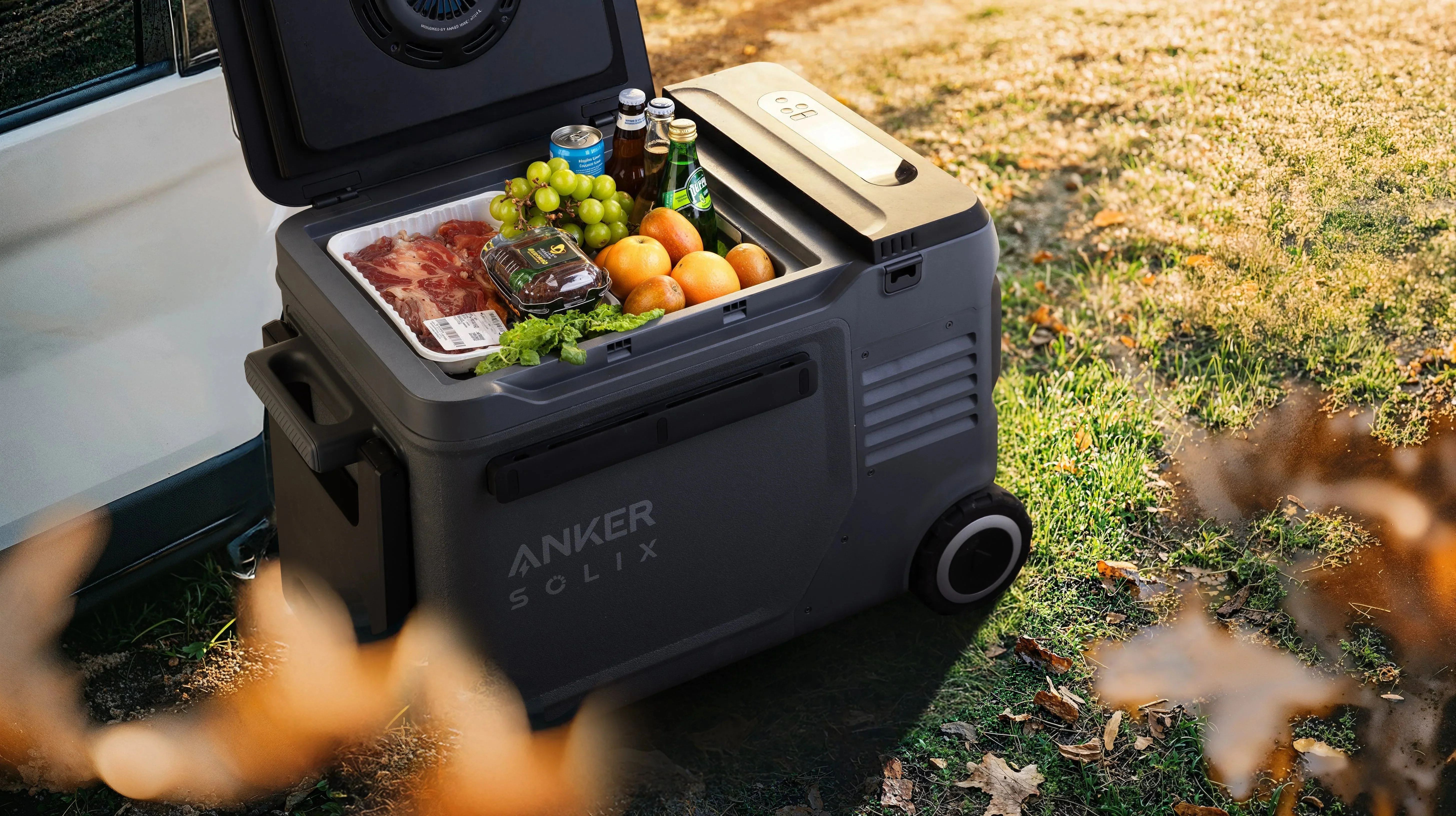 Anker SOLIX EverFrost 2 Cooler 40L w/ 288Wh Battery - Image 14