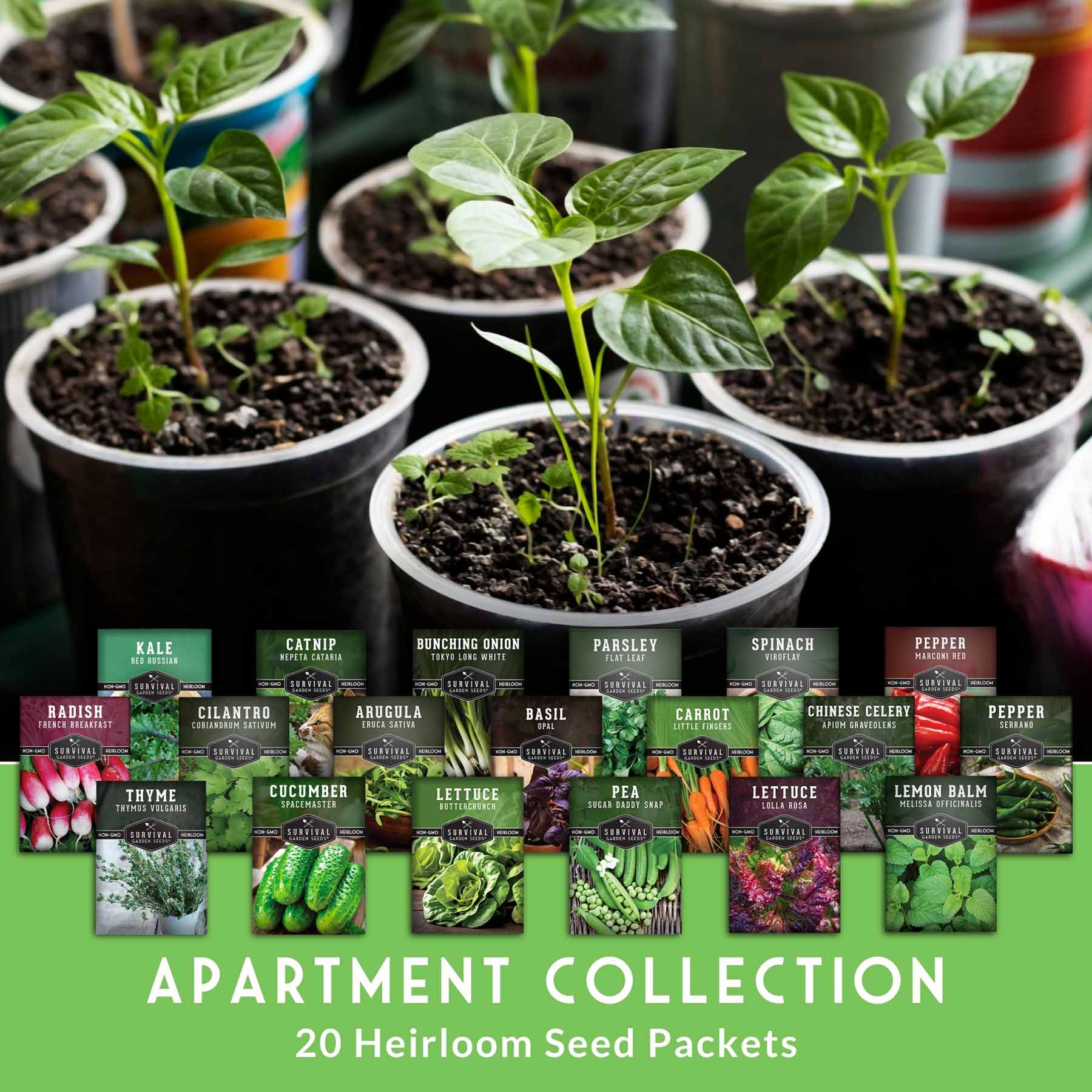 20 Variety Apartment Kit Seed Vault – Non-GMO Heirloom Seeds for Hydroponic & Indoor Small-Space Gardening - Image 3