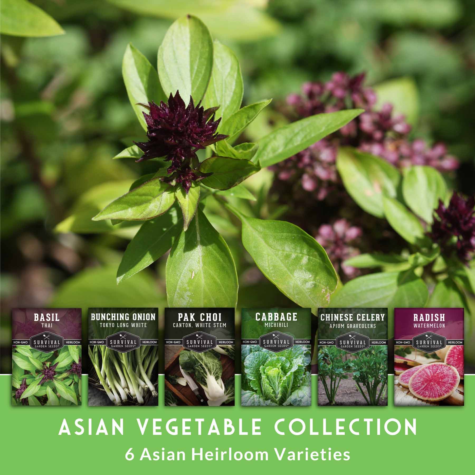 Asian Vegetable Seed Collection – 6 Heirloom, Non-GMO Varieties for Stir-Fries, Soups & Authentic Home Cooking - Image 3