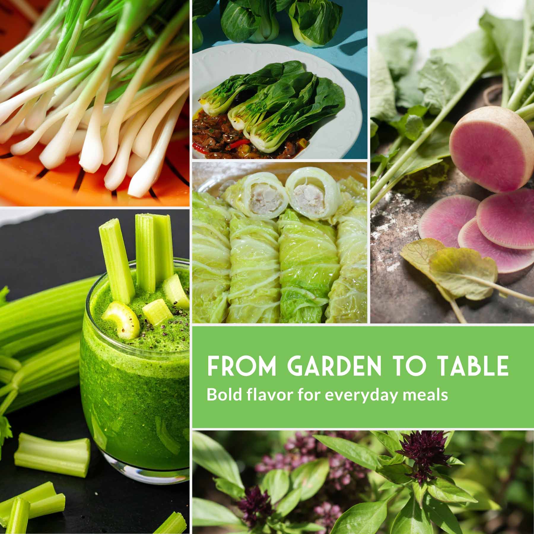 Asian Vegetable Seed Collection – 6 Heirloom, Non-GMO Varieties for Stir-Fries, Soups & Authentic Home Cooking - Image 5