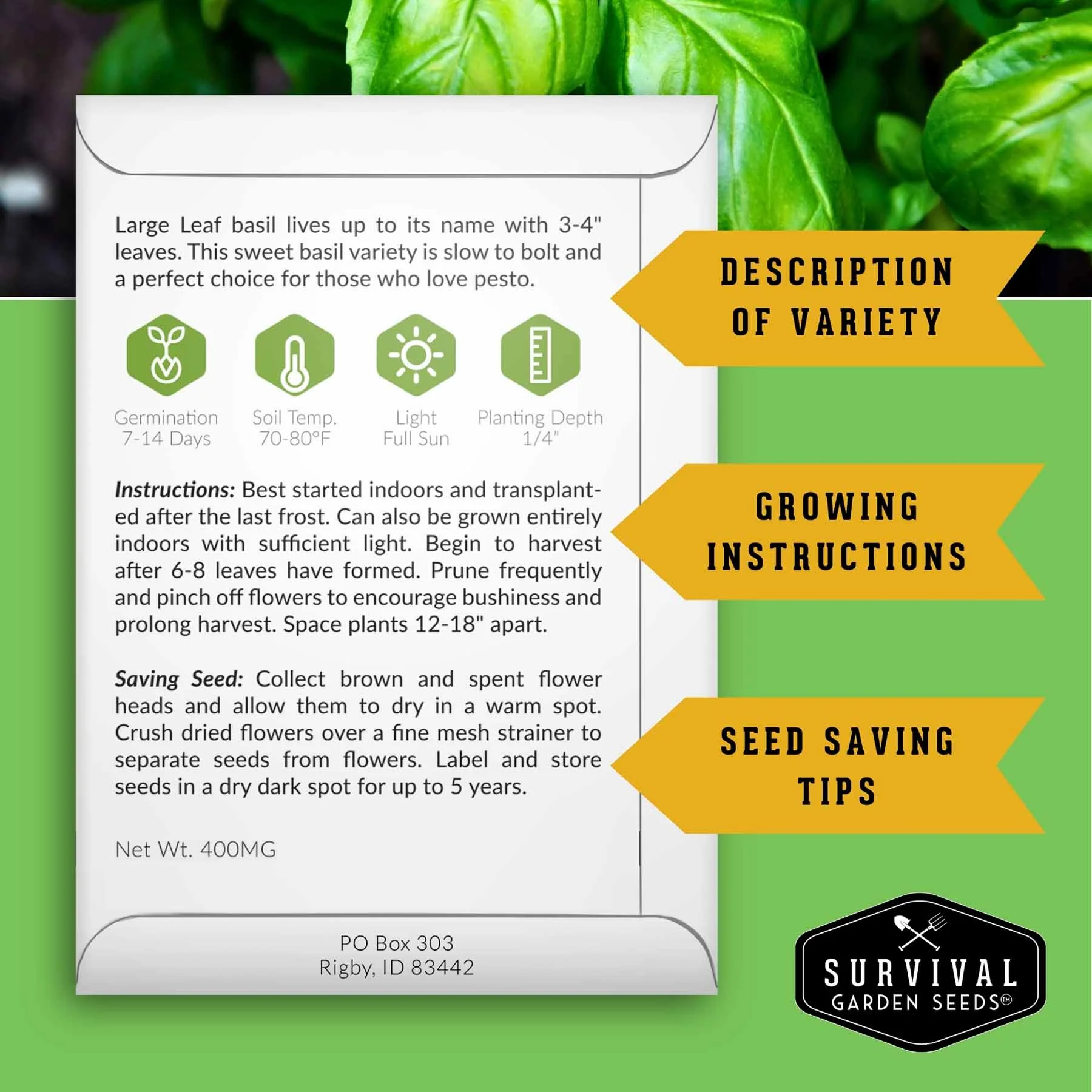 5 Basil Seed Collection – Genovese, Holy (Tulsi), Large Leaf, Opal & Thai Basil Seeds for Culinary and Herbal Gardens - Image 2