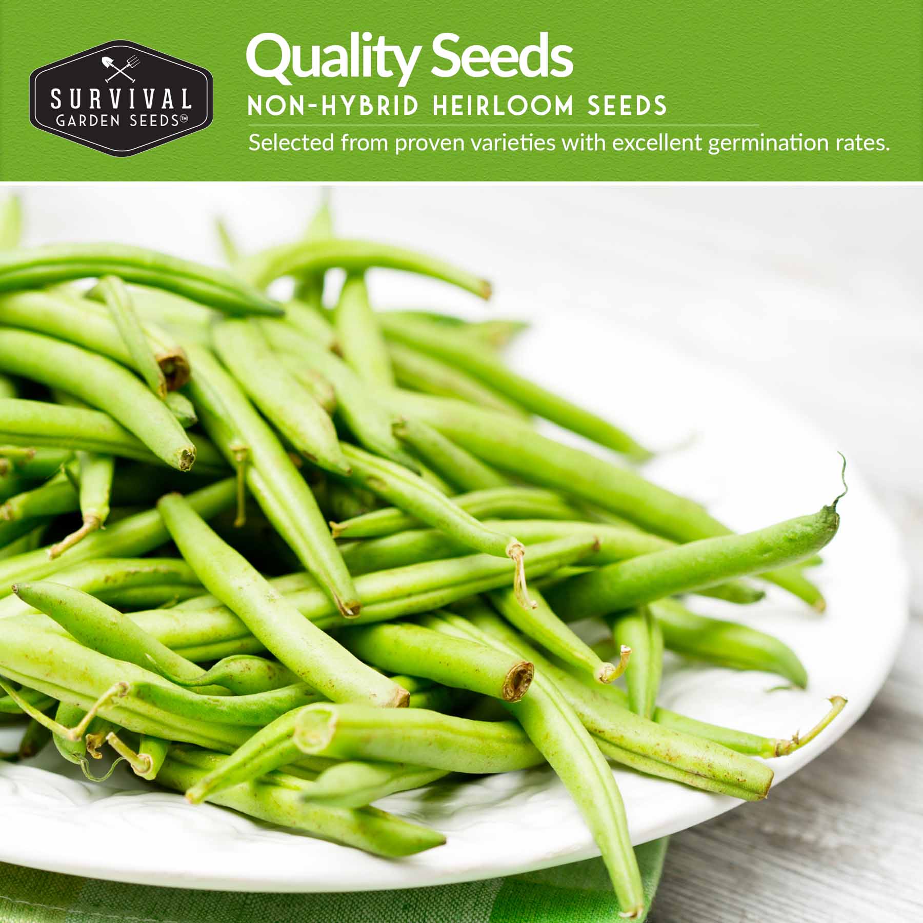 Bean Seed Collection – Contender Bush Beans, Kentucky Wonder Pole Beans & Henderson Lima Beans - Image 3