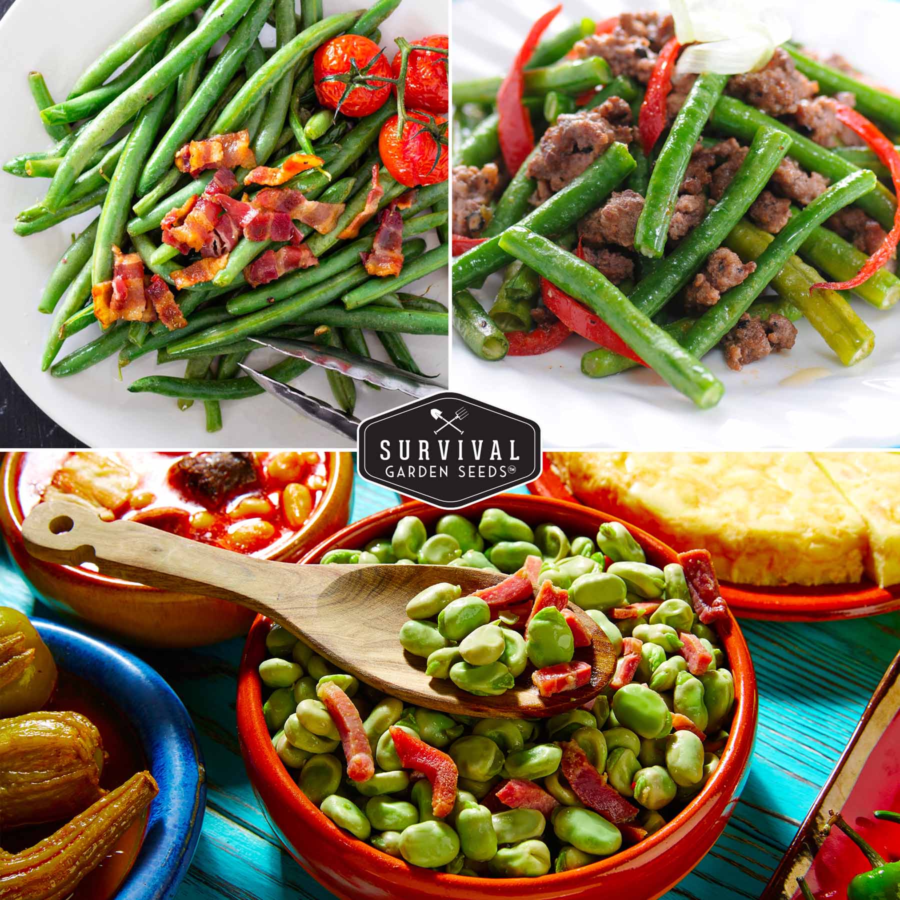 Bean Seed Collection – Contender Bush Beans, Kentucky Wonder Pole Beans & Henderson Lima Beans - Image 4