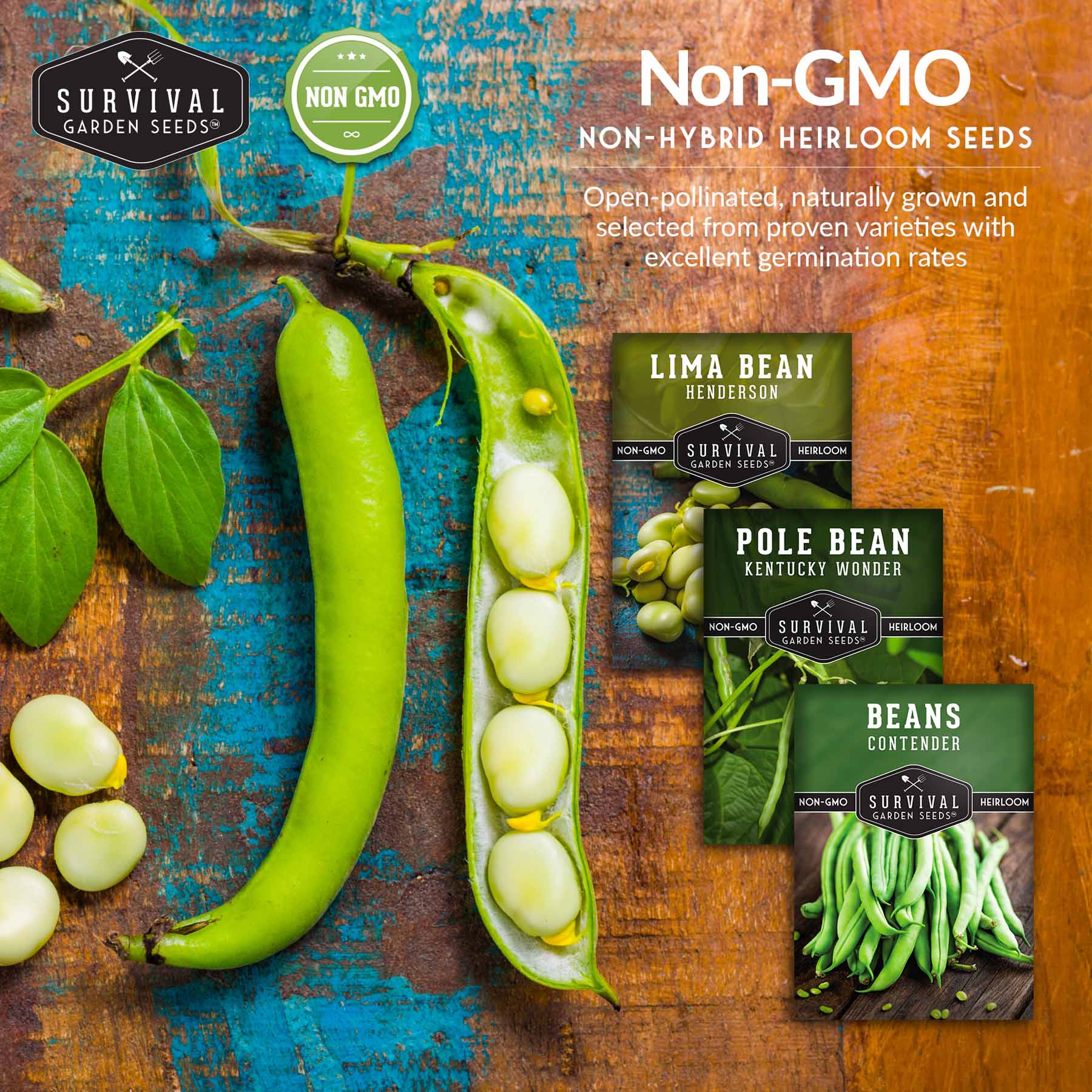 Bean Seed Collection – Contender Bush Beans, Kentucky Wonder Pole Beans & Henderson Lima Beans - Image 5