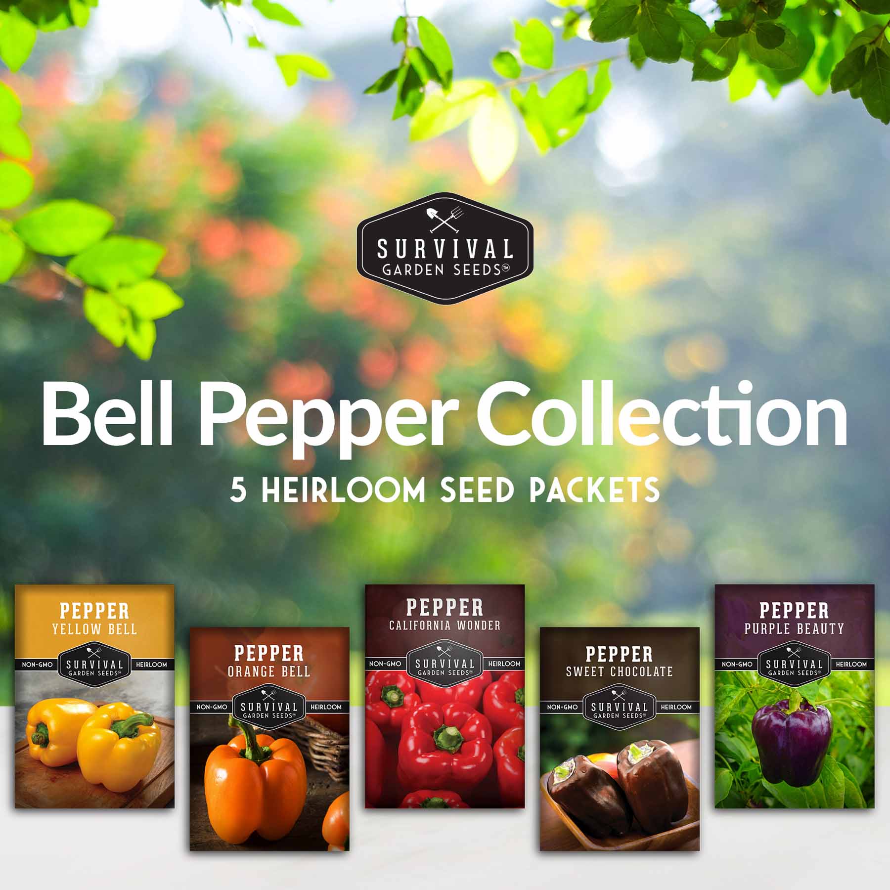 Heirloom Bell Pepper Seed Collection – Non-GMO Sweet Peppers in 5 Vibrant Colors for Garden & Container Growing - Image 2
