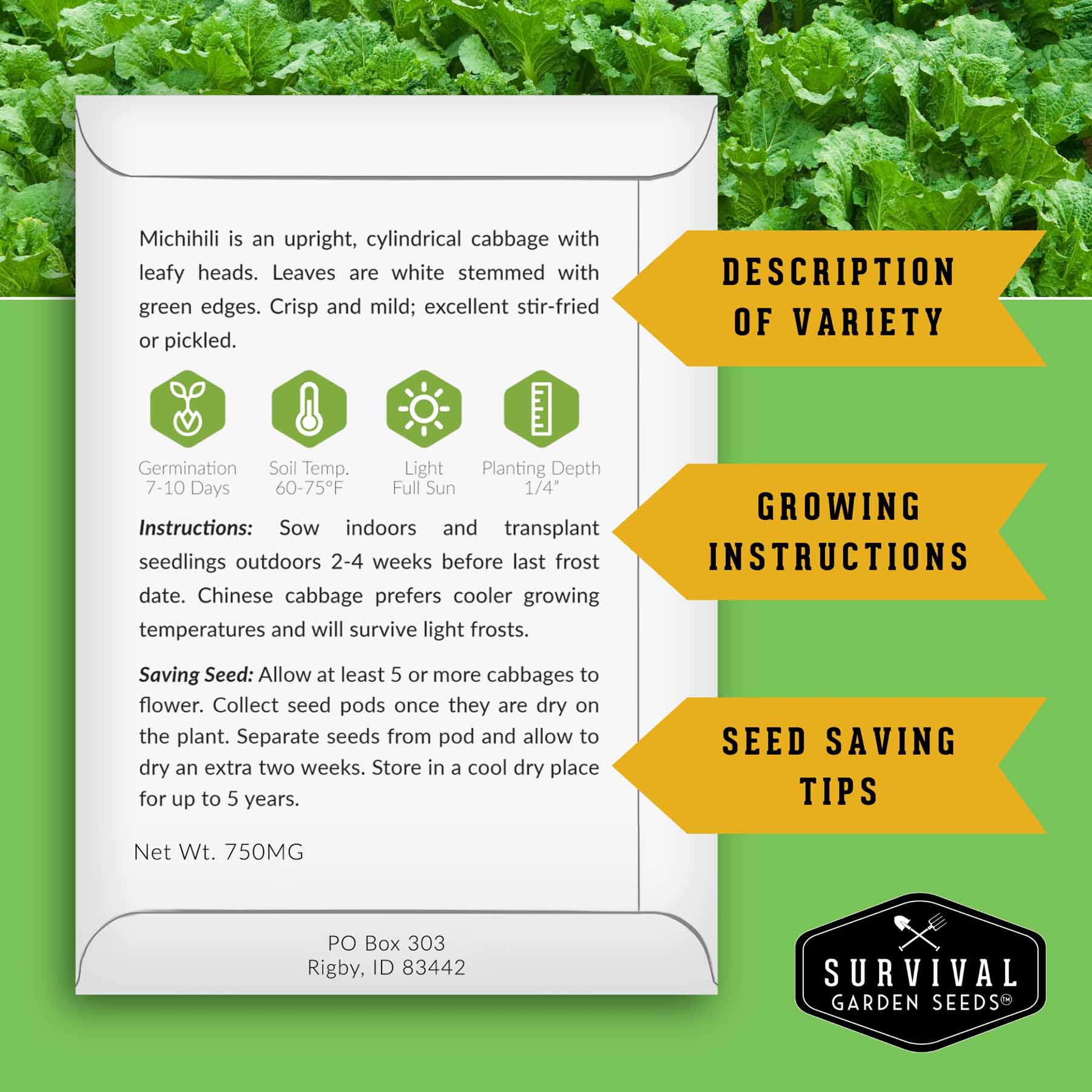 5-Variety Heirloom Cabbage Seed Collection – Non-GMO Green, Red & Napa Cabbages for Spring and Fall Gardens - Image 3