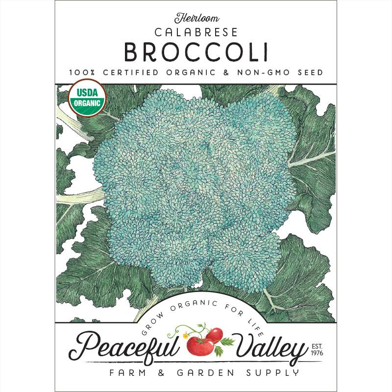Calabrese Broccoli Seeds (Organic) - Image 2