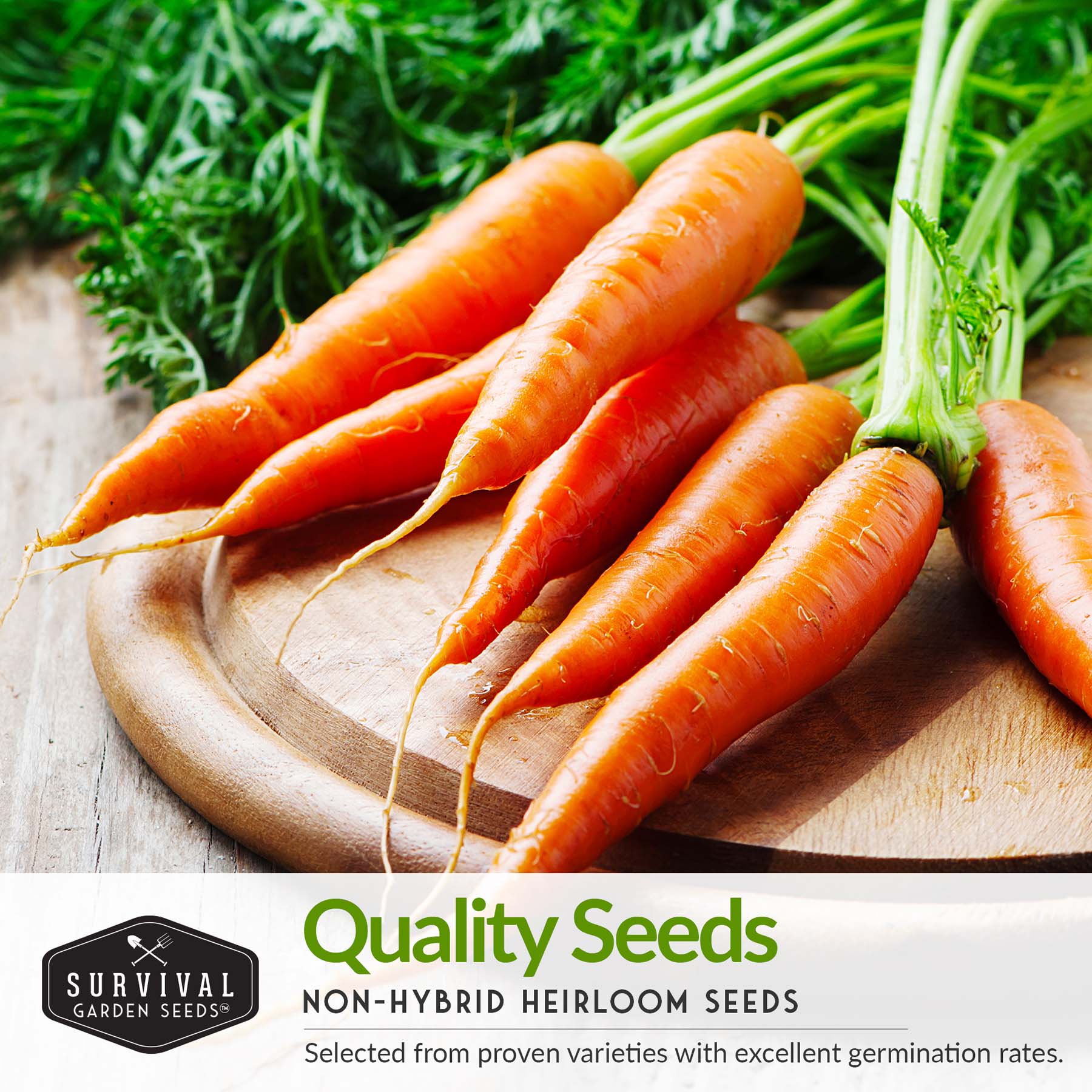 Carrot Seed Collection – Six Heirloom Garden Carrot Varieties for Fresh Eating, Juicing, Storage & Preserving - Image 3