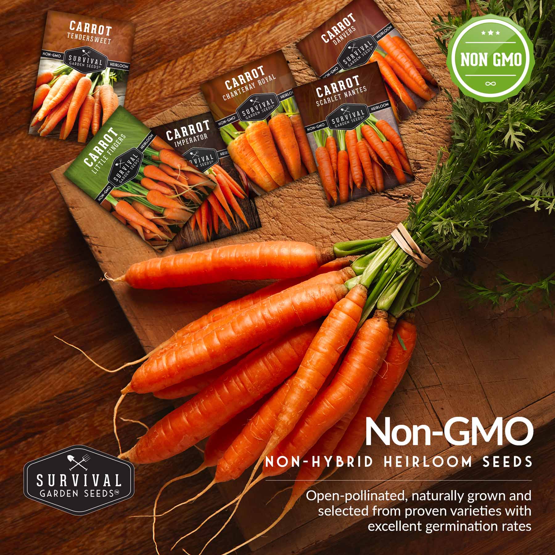 Carrot Seed Collection – Six Heirloom Garden Carrot Varieties for Fresh Eating, Juicing, Storage & Preserving - Image 4