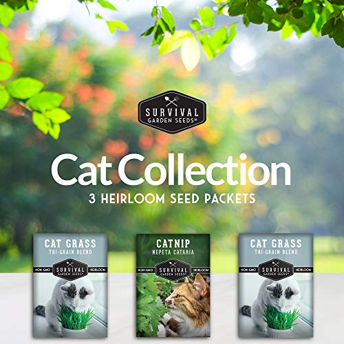 Cat Grass & Catnip Seed Collection – Fun, Healthy Greens & Enrichment Herbs for Indoor Cats - Image 2