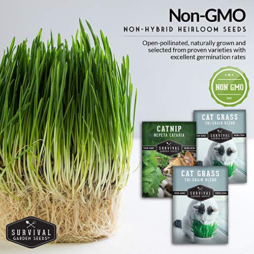 Cat Grass & Catnip Seed Collection – Fun, Healthy Greens & Enrichment Herbs for Indoor Cats - Image 5