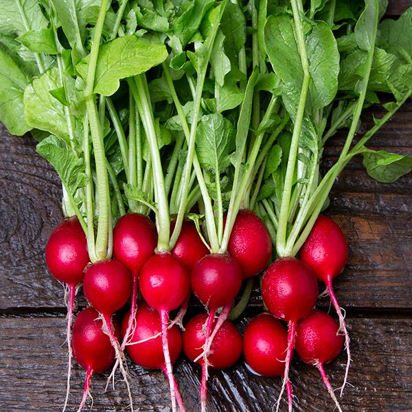 Cherry Belle Radish - Image 2