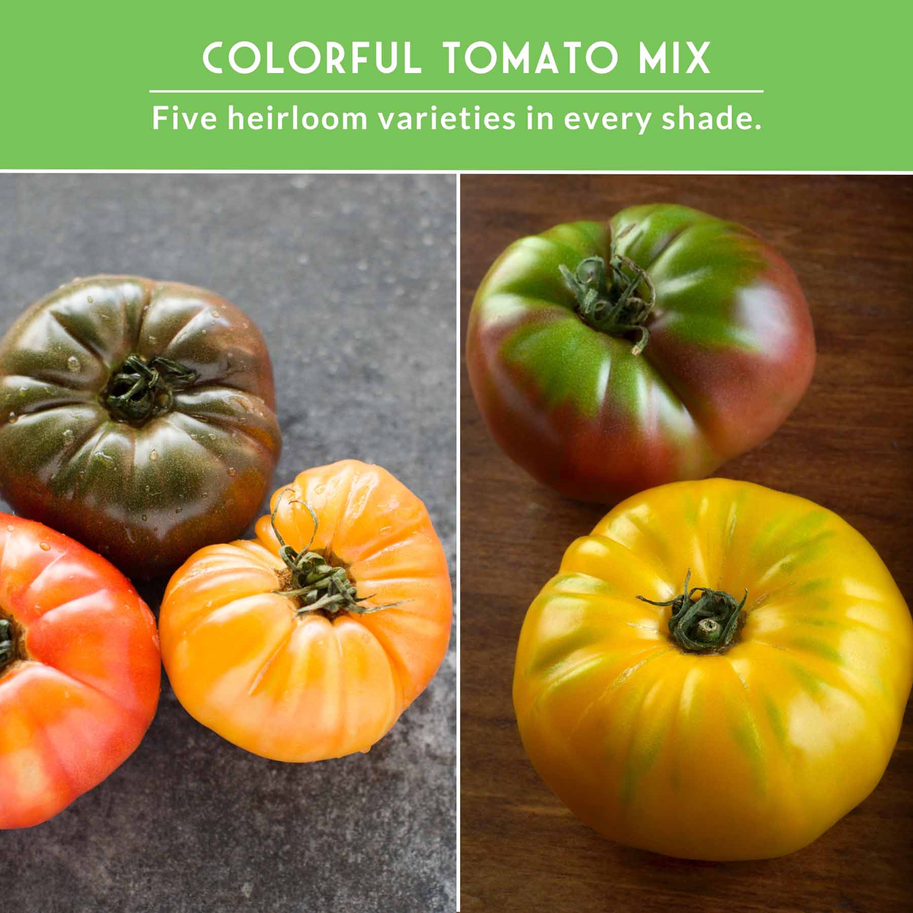 Colorful Tomato Seed Collection – Heirloom Rainbow Mix for Unique Flavors, Slicing & Summer Harvests - Image 5