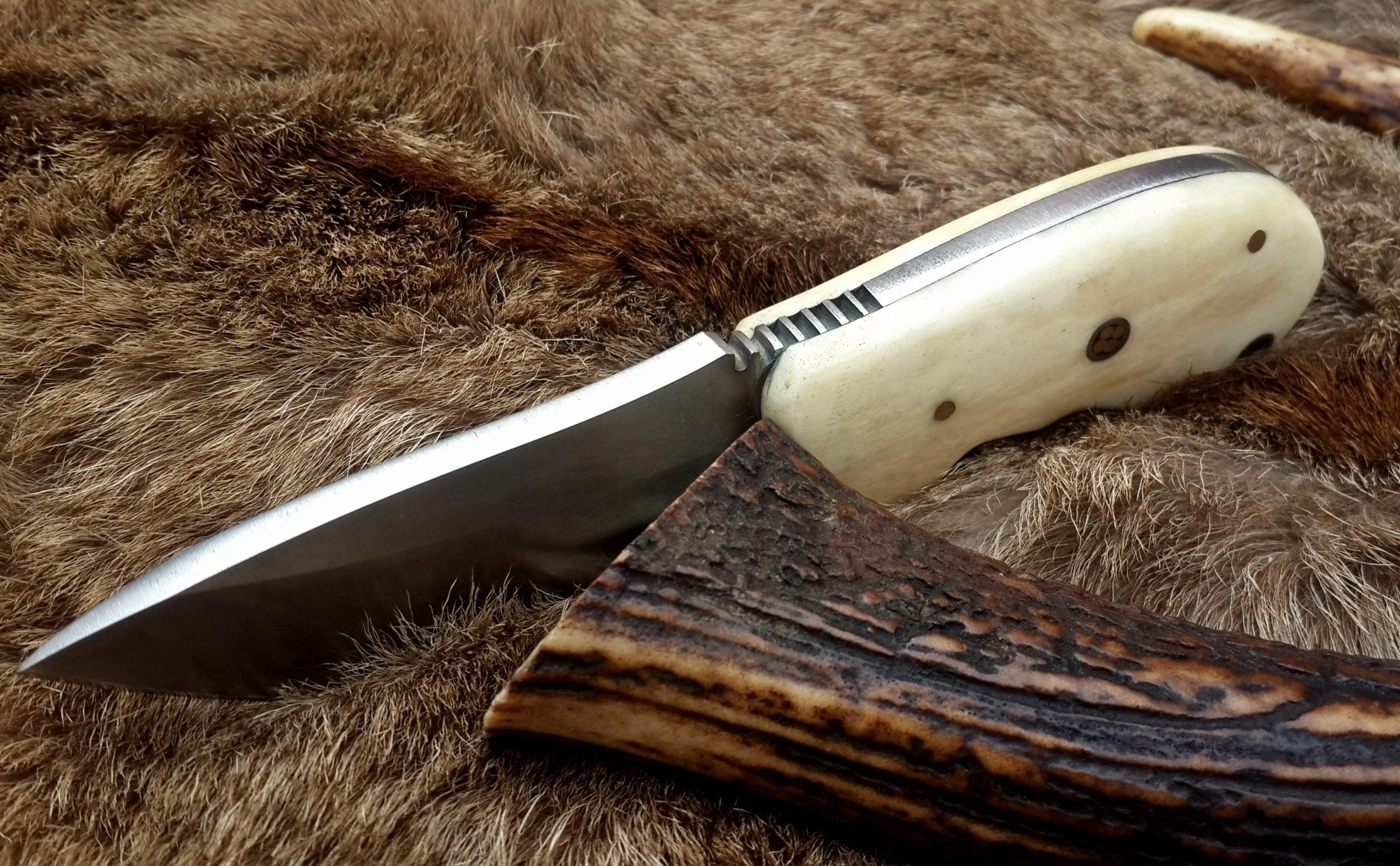 Compact D2 Steel Field Dressing Deer Skinning Knife – 6.5 Inch Blade with Bone Handle - Image 4