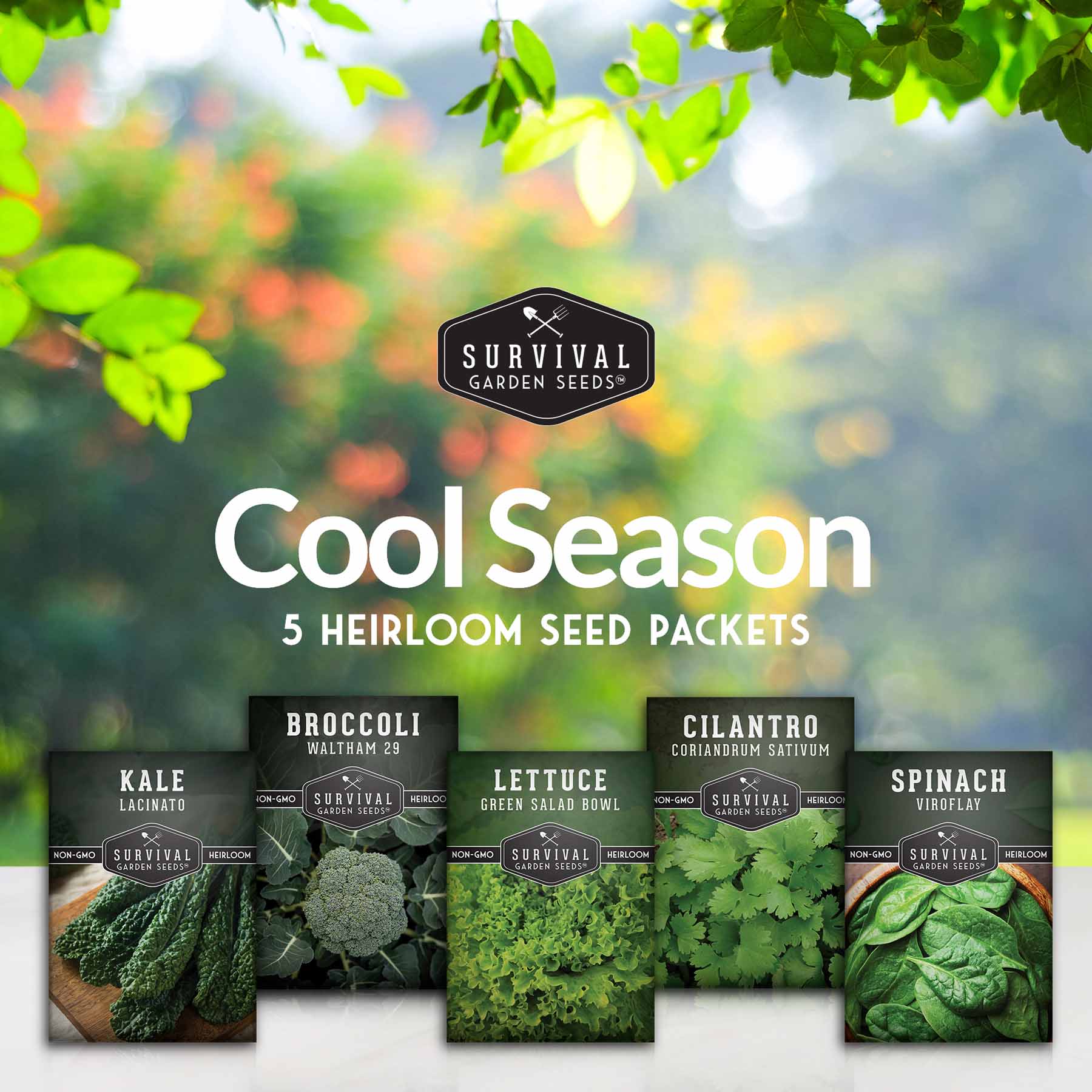 Cool Weather Garden Seeds Collection – 5 Heirloom Non-GMO Vegetables for Fall & Spring Planting | Cold-Hardy Greens & Herbs - Image 2