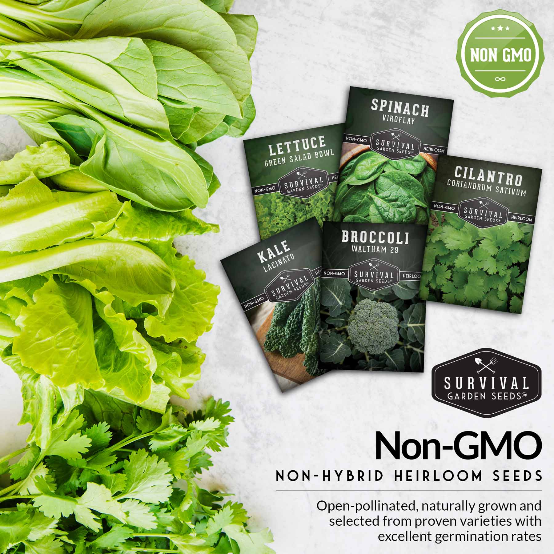 Cool Weather Garden Seeds Collection – 5 Heirloom Non-GMO Vegetables for Fall & Spring Planting | Cold-Hardy Greens & Herbs - Image 7