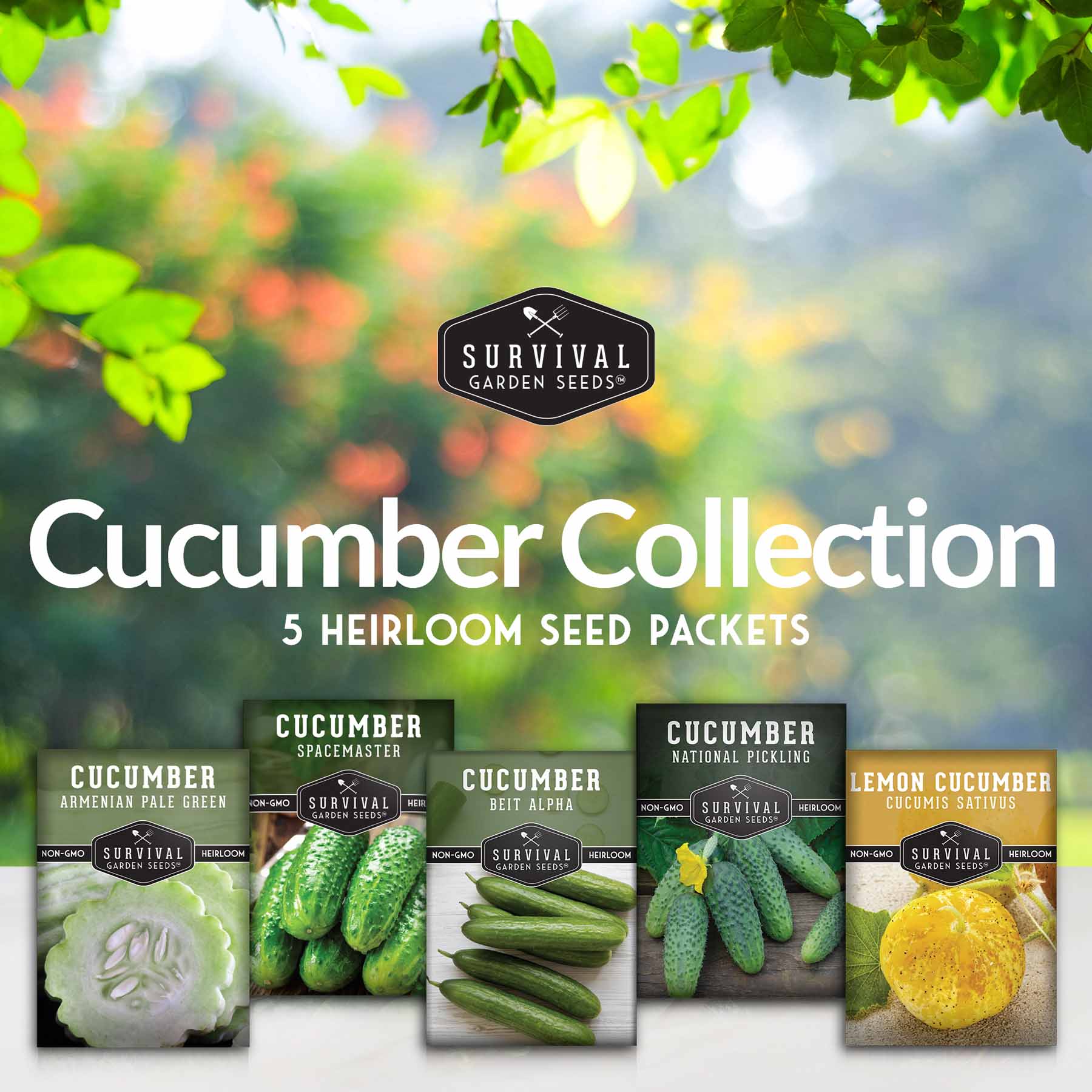 Cucumber Seed Collection – Armenian, Beit Alpha, Lemon, National Pickling & Spacemaster Varieties - Image 2