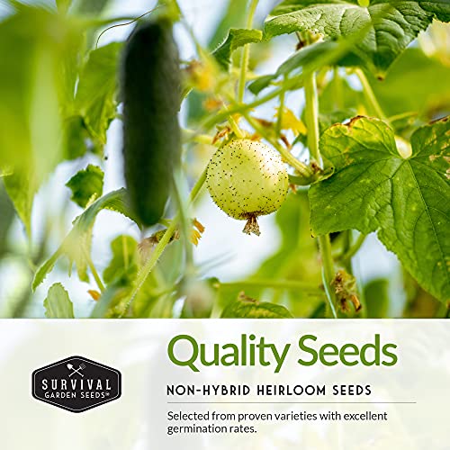 Cucumber Seed Collection – Armenian, Beit Alpha, Lemon, National Pickling & Spacemaster Varieties - Image 3