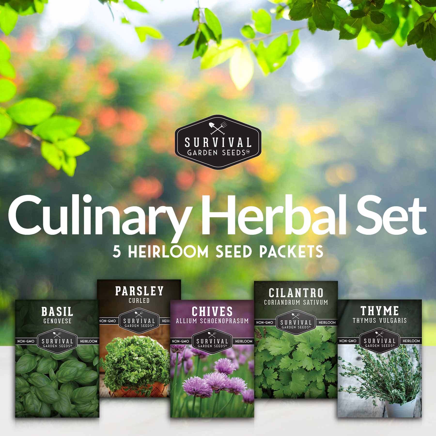 Culinary Herb Seed Collection – 5 Essential Kitchen Herbs for Indoor or Outdoor Growing - Image 2