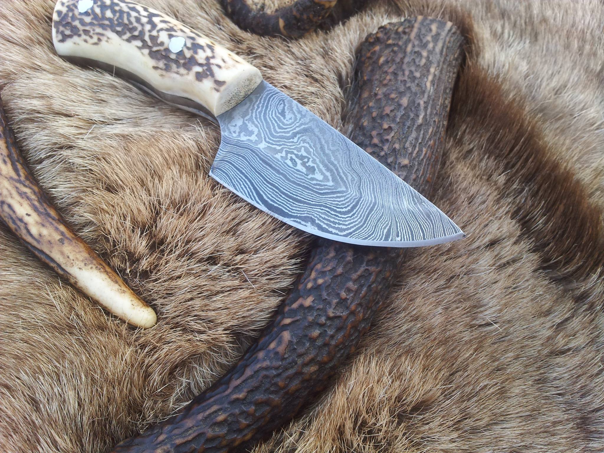 Custom Damascus Steel Field Dressing Deer Skinning Knife with Antler Horn Handle – 7 Inch Drop Point Blade - Image 2