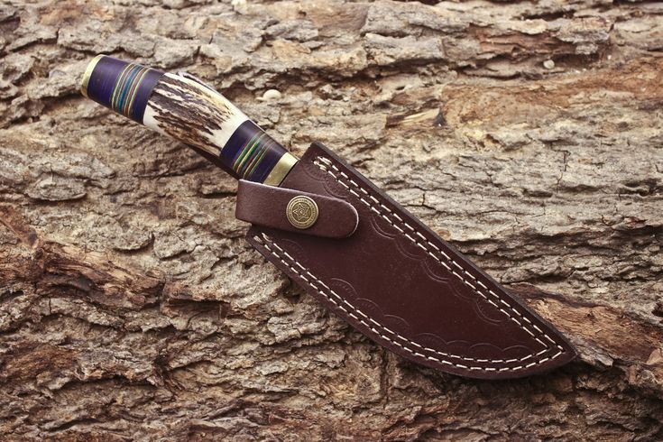Custom Handmade 1095 Forged Steel Hunting Knife with Antler Horn & Exotic Wood Handle – 11" | KBS Knives - Image 2