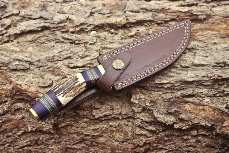 Custom Handmade 1095 Forged Steel Hunting Knife with Antler Horn & Exotic Wood Handle – 11" | KBS Knives - Image 3