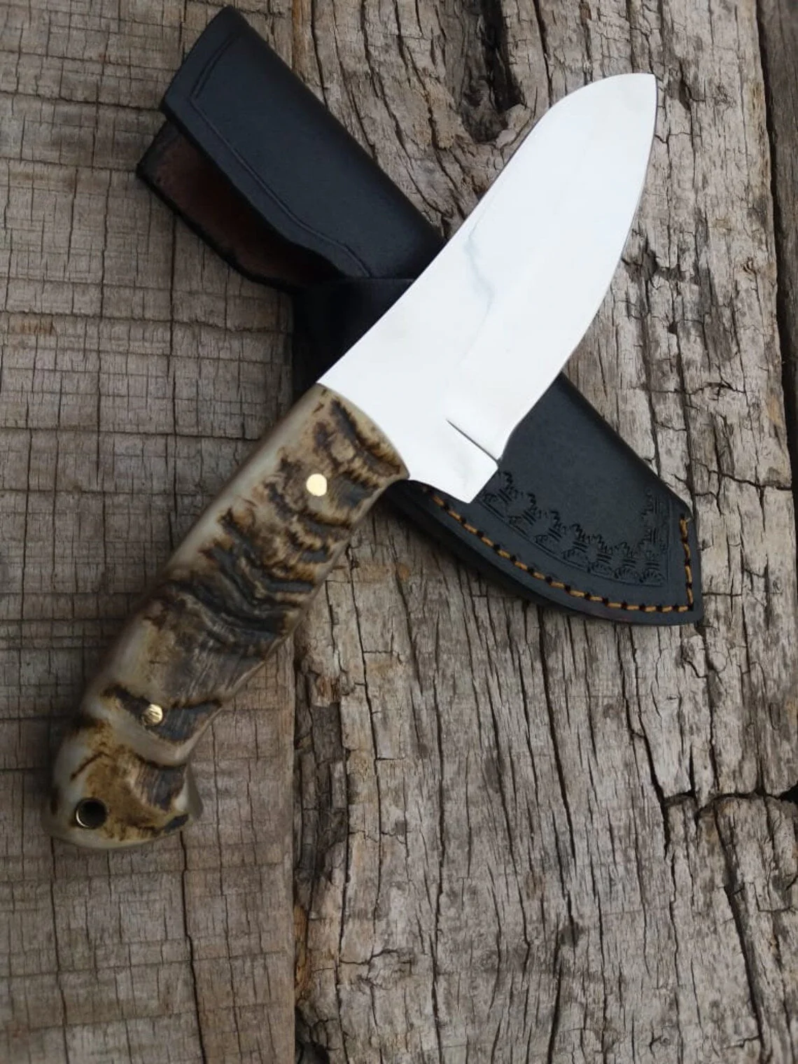 Custom Handmade D2 Steel Hunting Knife with Mountain Sheep Horn Handle – 8.5" | KBS Knives - Image 2