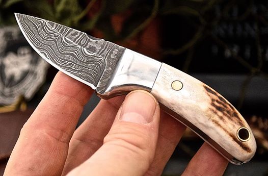 Custom Handmade Damascus New Zealand Red Stag Antler Handle Mini Skinning EDC Small Skinner Neck Knife - Image 4