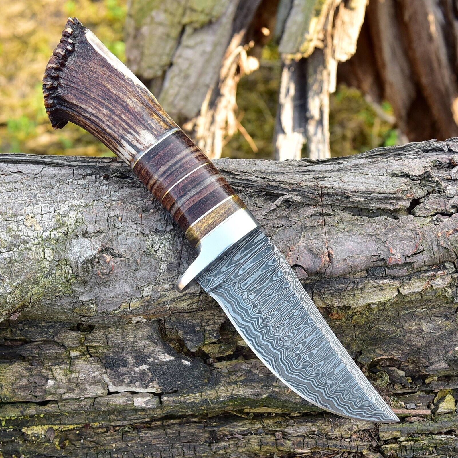 Custom Handmade Damascus Steel Hunting Knife with Rosewood, Stag Horn and Steel Guard Handle - 9 Inches by KBS Knives Store - Image 2
