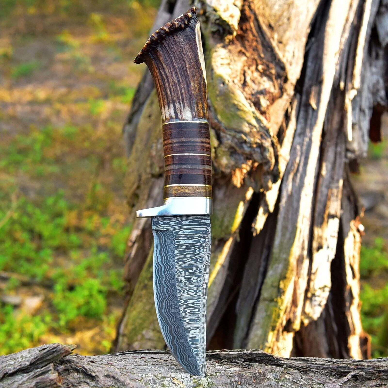 Custom Handmade Damascus Steel Hunting Knife with Rosewood, Stag Horn and Steel Guard Handle - 9 Inches by KBS Knives Store - Image 3