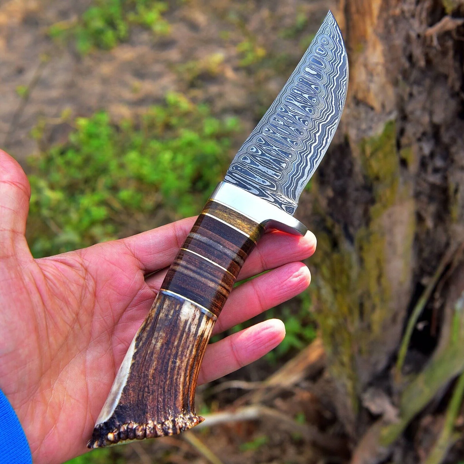 Custom Handmade Damascus Steel Hunting Knife with Rosewood, Stag Horn and Steel Guard Handle - 9 Inches by KBS Knives Store - Image 4