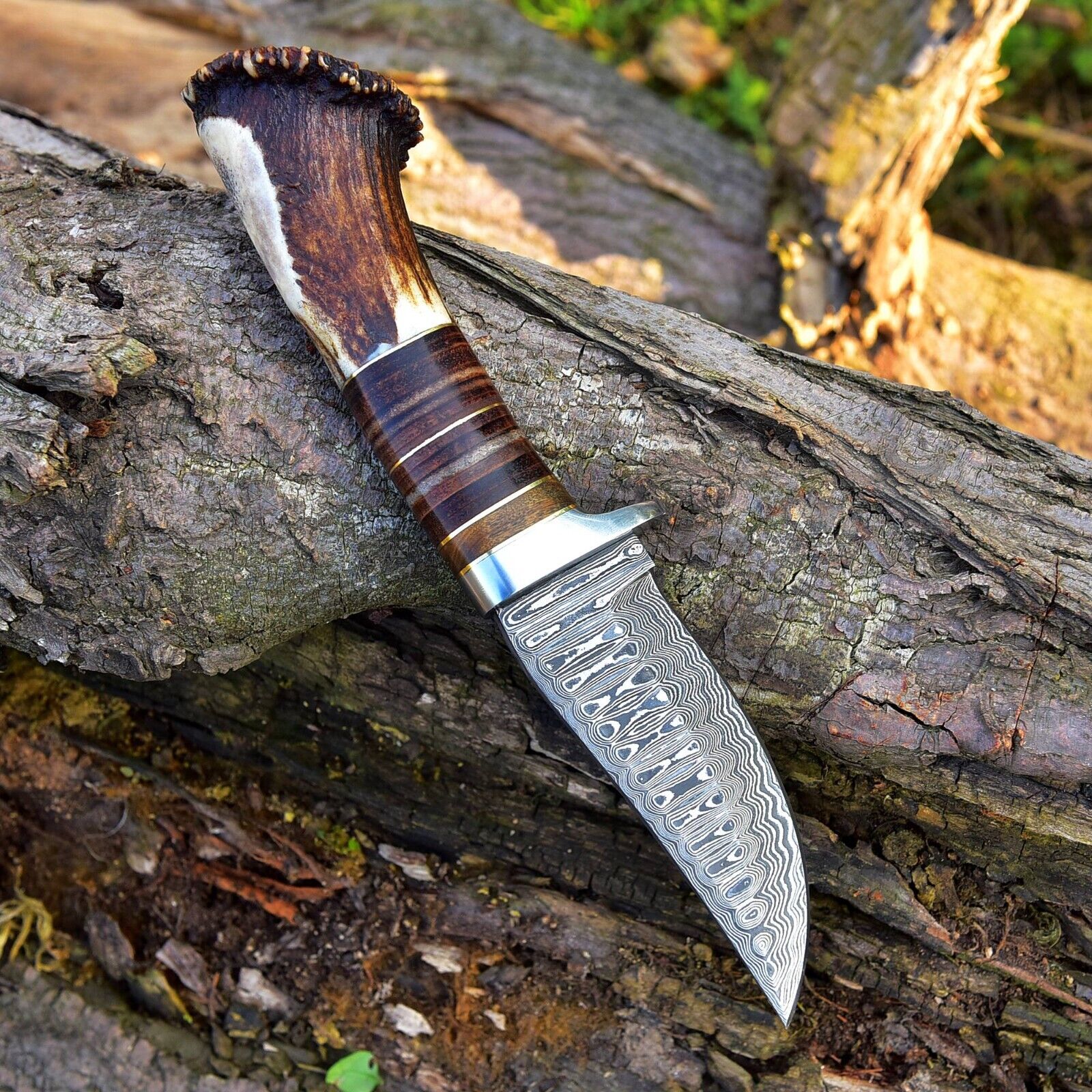 Custom Handmade Damascus Steel Hunting Knife with Rosewood, Stag Horn and Steel Guard Handle - 9 Inches by KBS Knives Store - Image 5