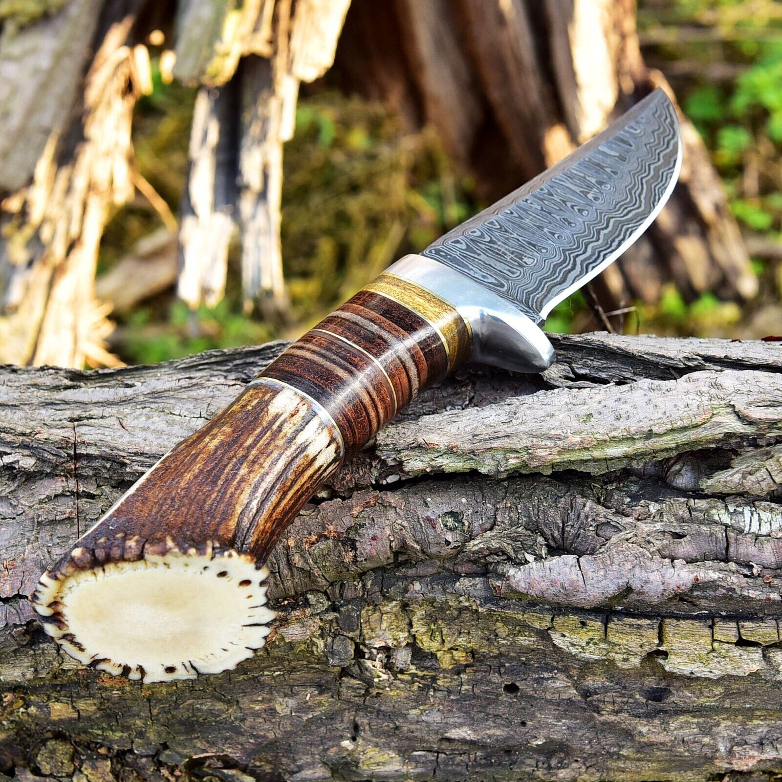 Custom Handmade Damascus Steel Hunting Knife with Rosewood, Stag Horn and Steel Guard Handle - 9 Inches by KBS Knives Store - Image 6