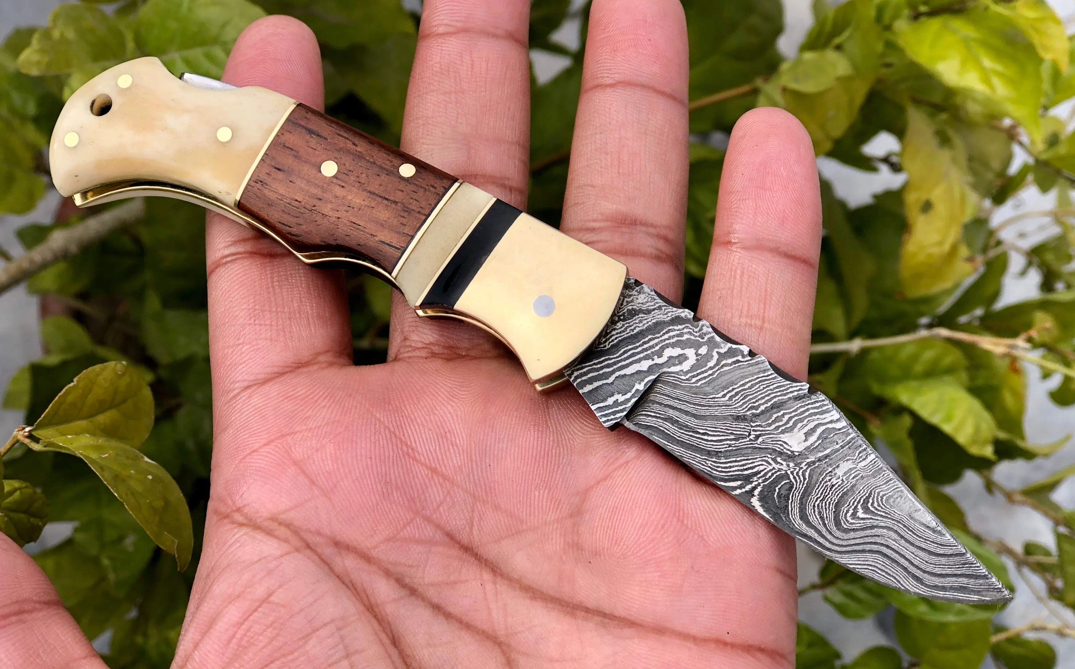 Custom Handmade Damascus Steel Small Folding Pocket Knife with Bone, Rosewood, and Brass Bolsters Handle - Image 2
