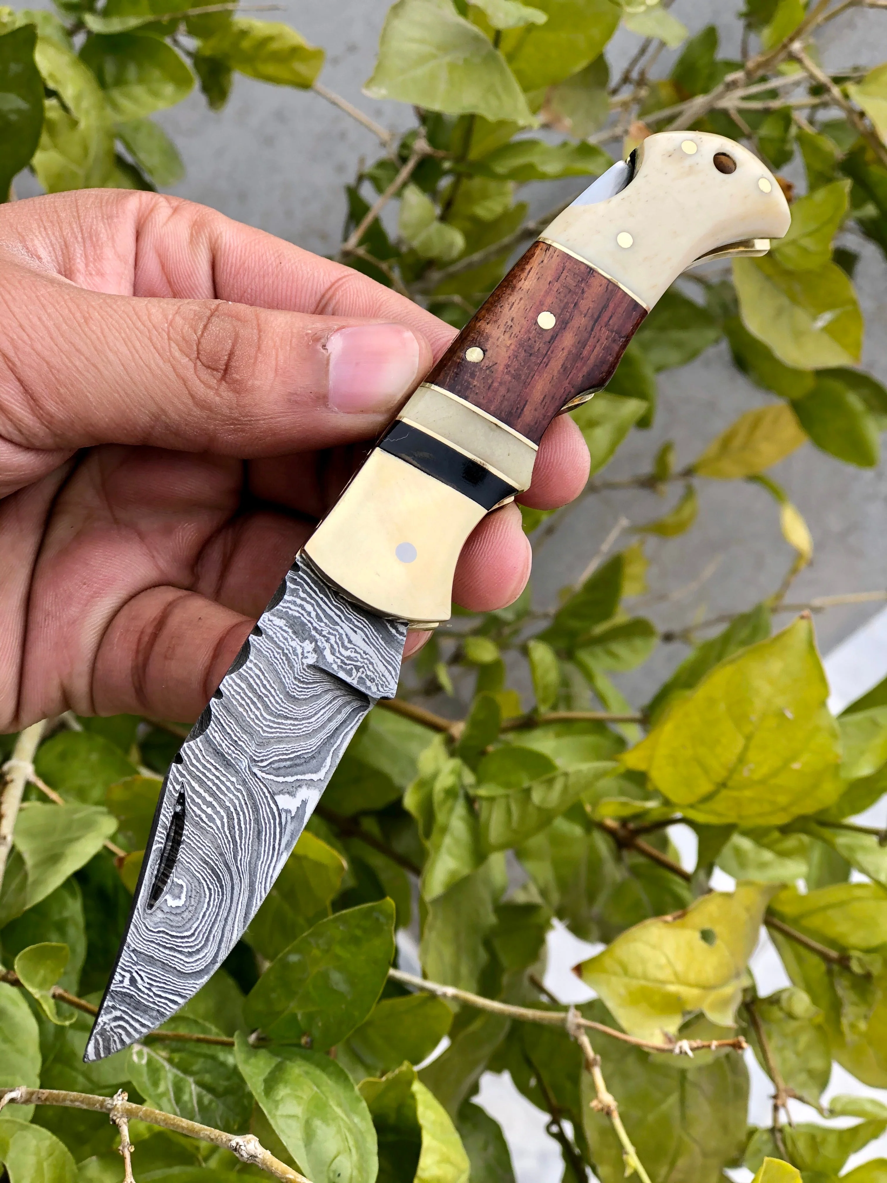 Custom Handmade Damascus Steel Small Folding Pocket Knife with Bone, Rosewood, and Brass Bolsters Handle - Image 4