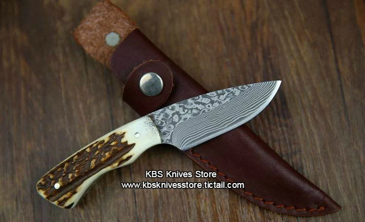 Custom Handmade Twist Damascus New Zealand Red Stag Hunting Skinning Knife - Image 2