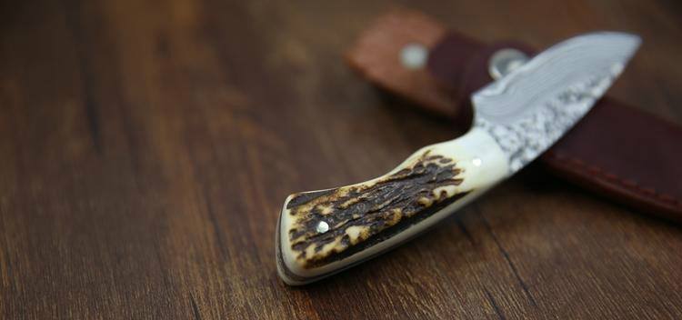 Custom Handmade Twist Damascus New Zealand Red Stag Hunting Skinning Knife - Image 3